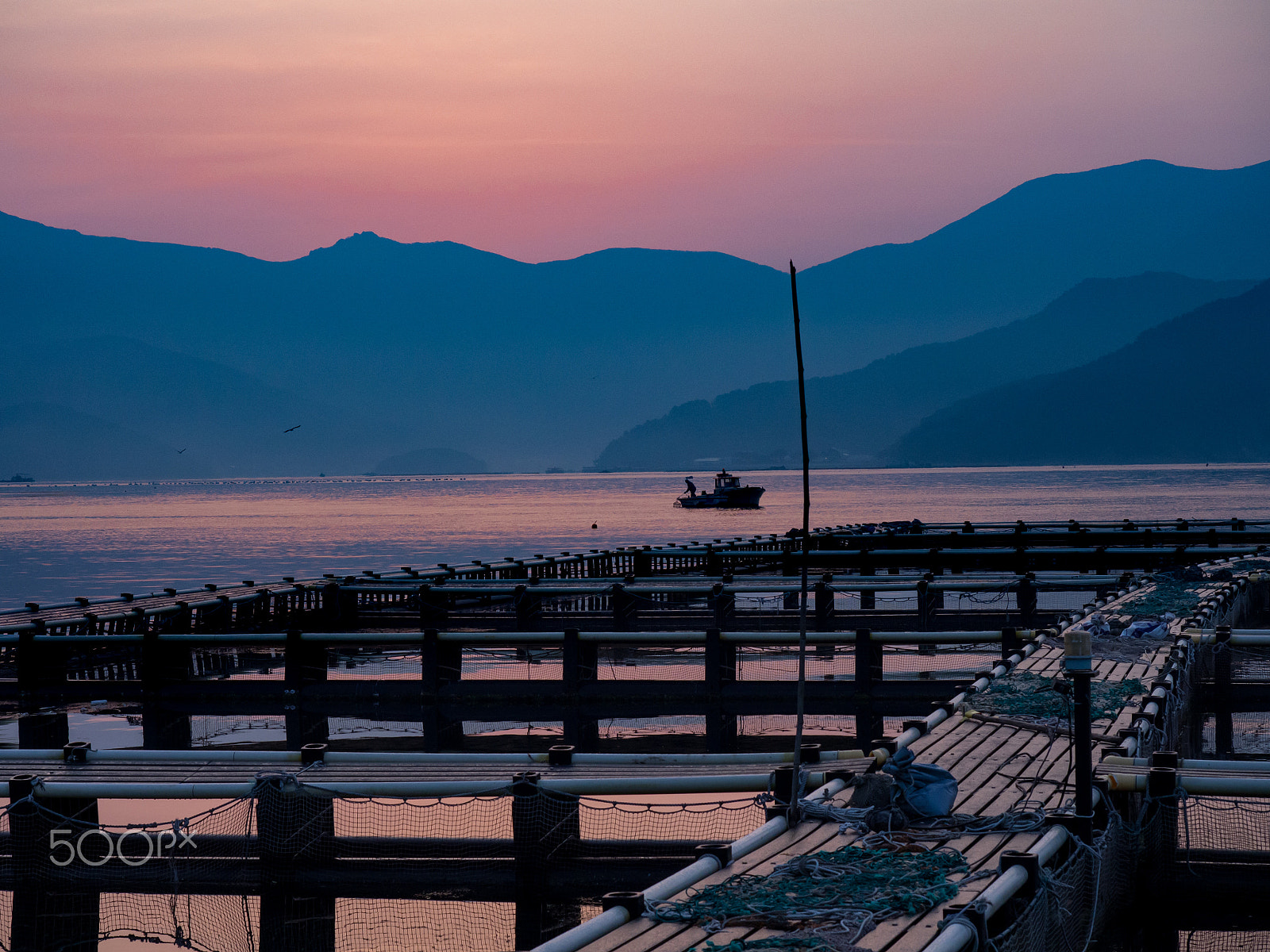 Olympus OM-D E-M5 + Olympus M.Zuiko Digital ED 12-40mm F2.8 Pro sample photo. A rockfish farm photography