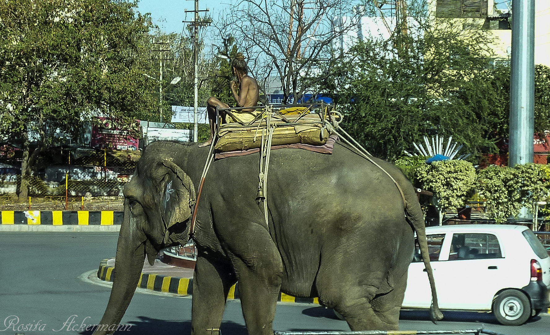 Panasonic DMC-ZS3 sample photo. Indian street photography