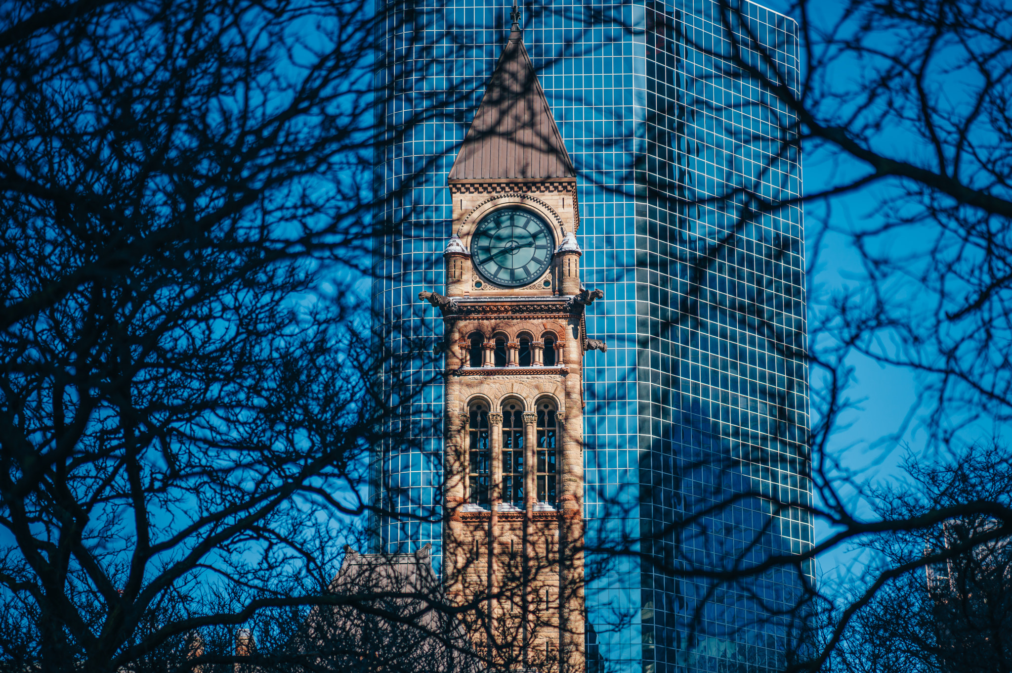 ZEISS Batis 85mm F1.8 sample photo