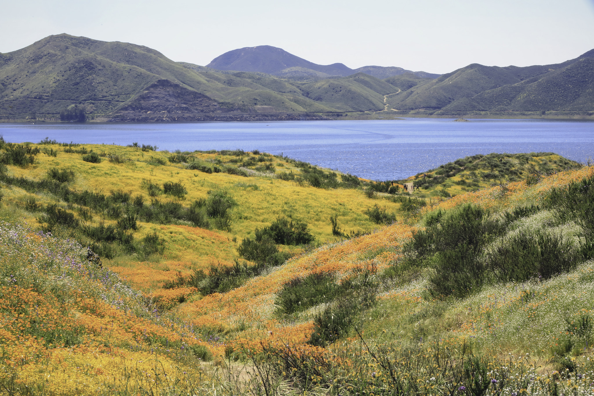 Canon EOS 5DS sample photo. Diamond valley lake photography