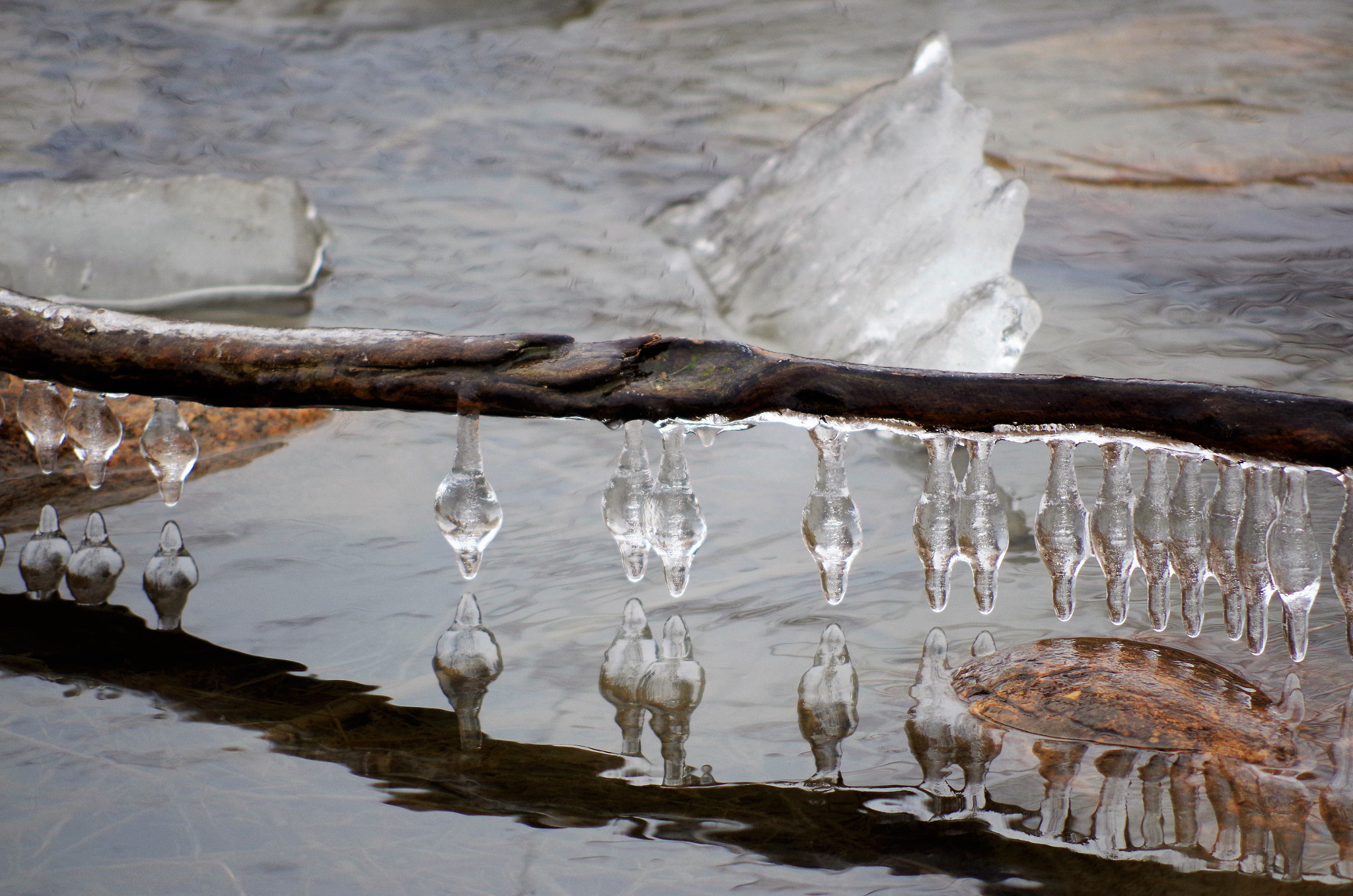 smc PENTAX-DA L 55-300mm F4-5.8 ED sample photo. Frozen photography