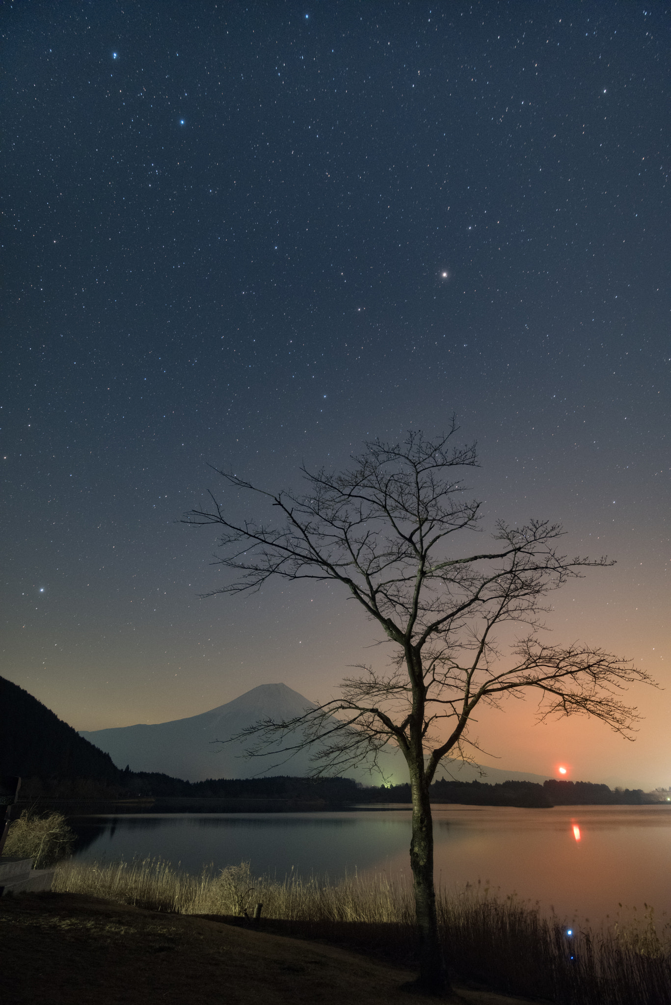 Nikon D810A sample photo. Night photography