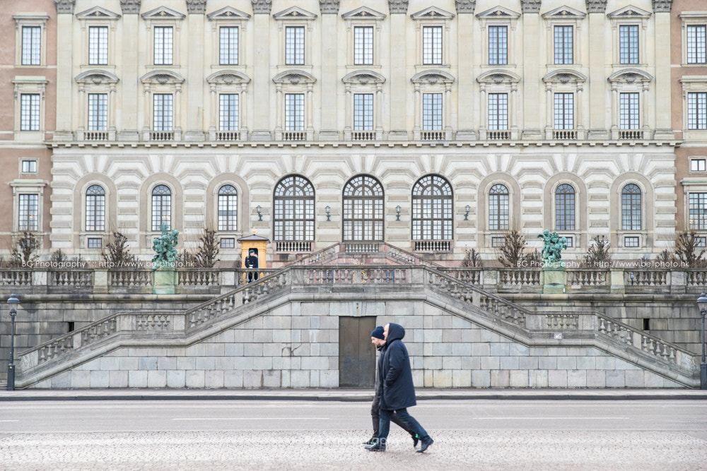 Sony a7 II + Canon EF 85mm F1.2L II USM sample photo. The palace. photography