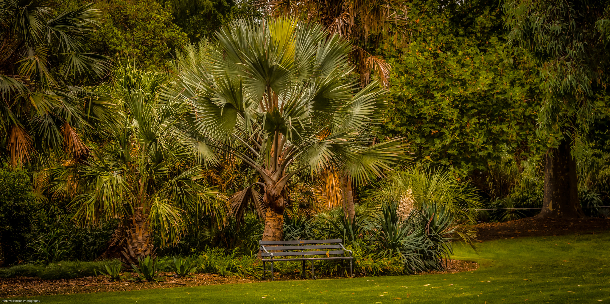 Canon EF 28-135mm F3.5-5.6 IS USM sample photo. Park seat botanic gardens adelaide photography