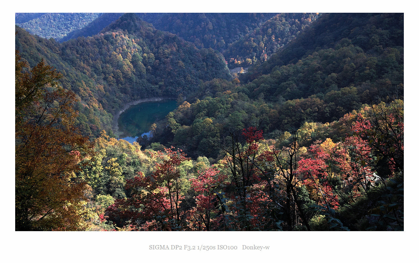 Sigma DP2 sample photo. The autumn photography