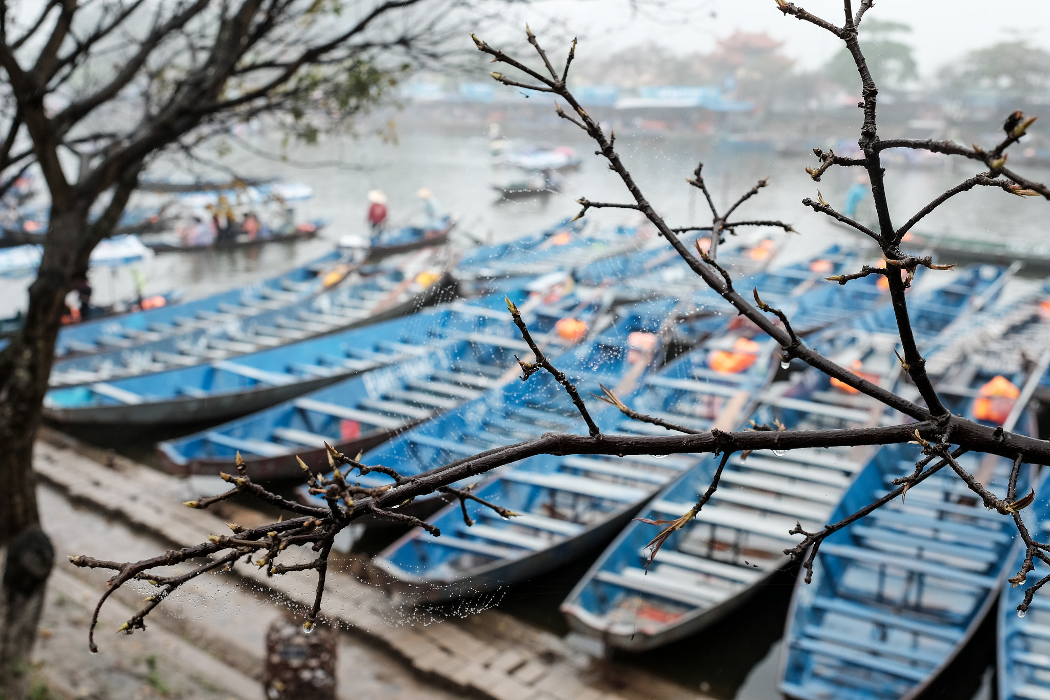 Fujifilm X-T1 sample photo. On the way to pagoda photography