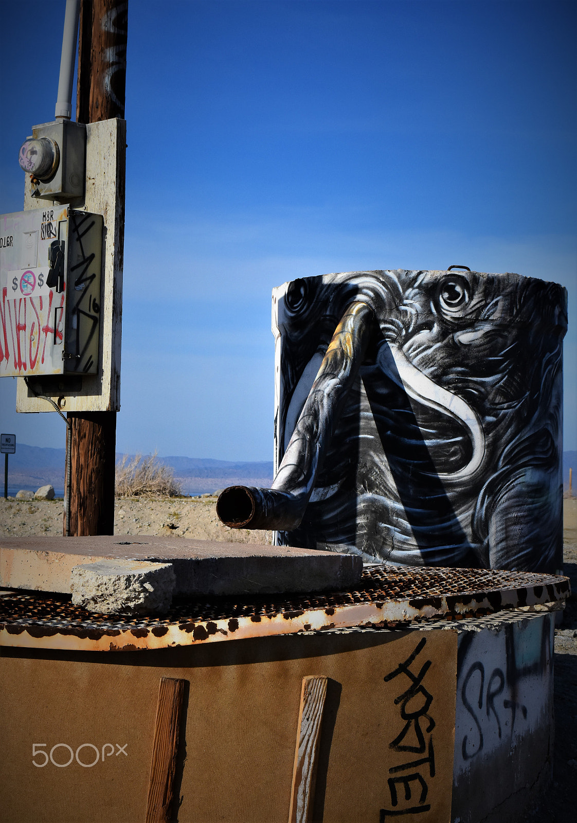 Nikon D7200 sample photo. Salton  graffitti photography