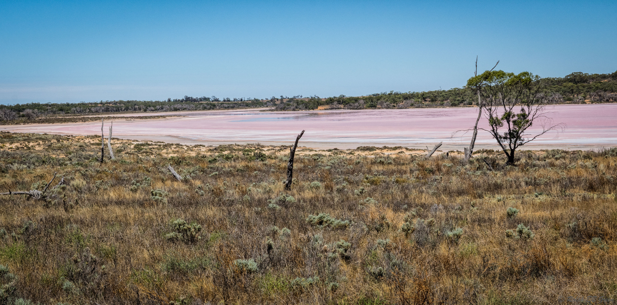 Pentax K-3 II + Sigma 17-50mm F2.8 EX DC HSM sample photo. Pink lake in murray-sunset national park photography