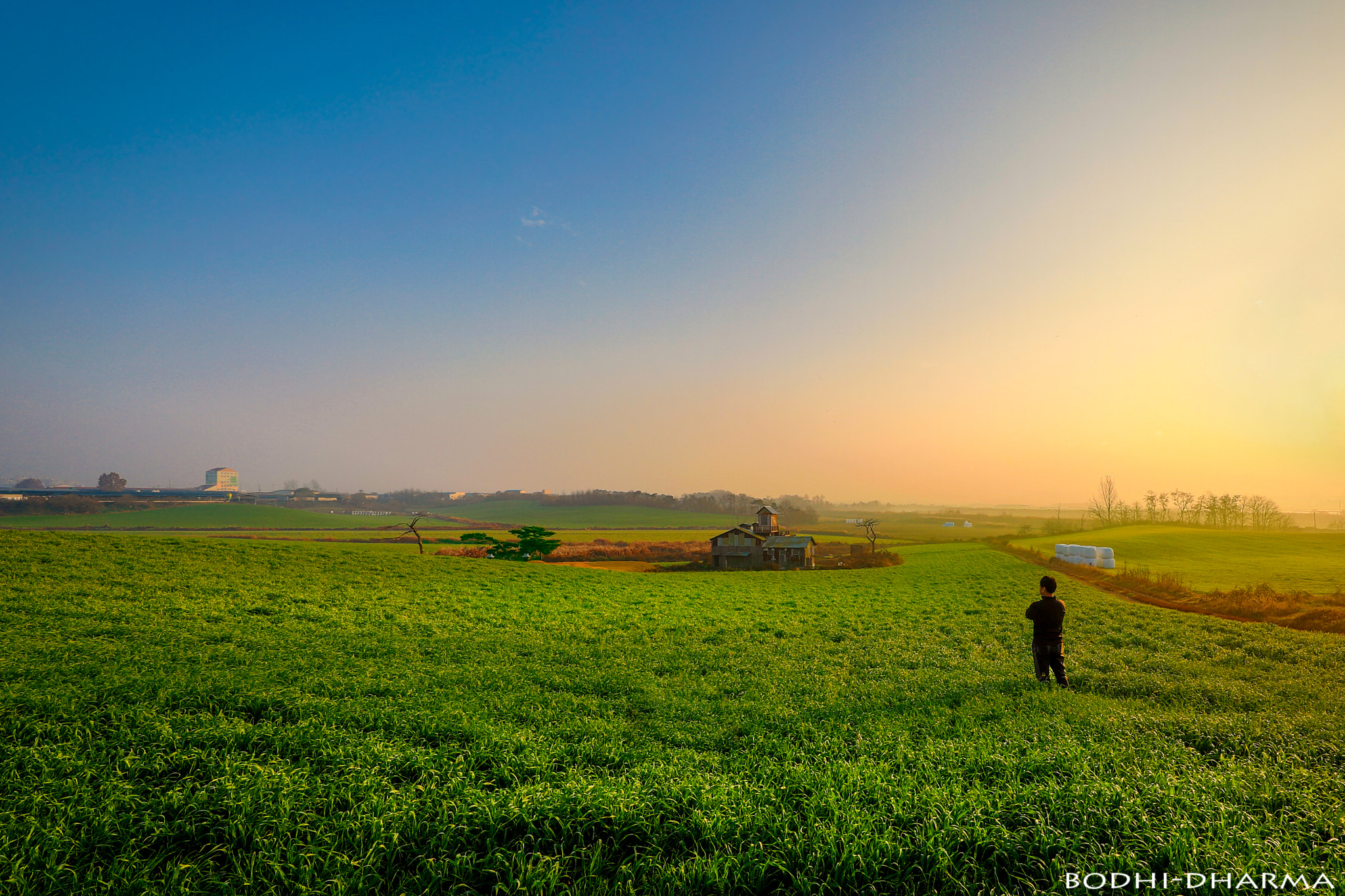 Canon EOS 5D Mark IV + Canon EF 11-24mm F4L USM sample photo. Jpg photography