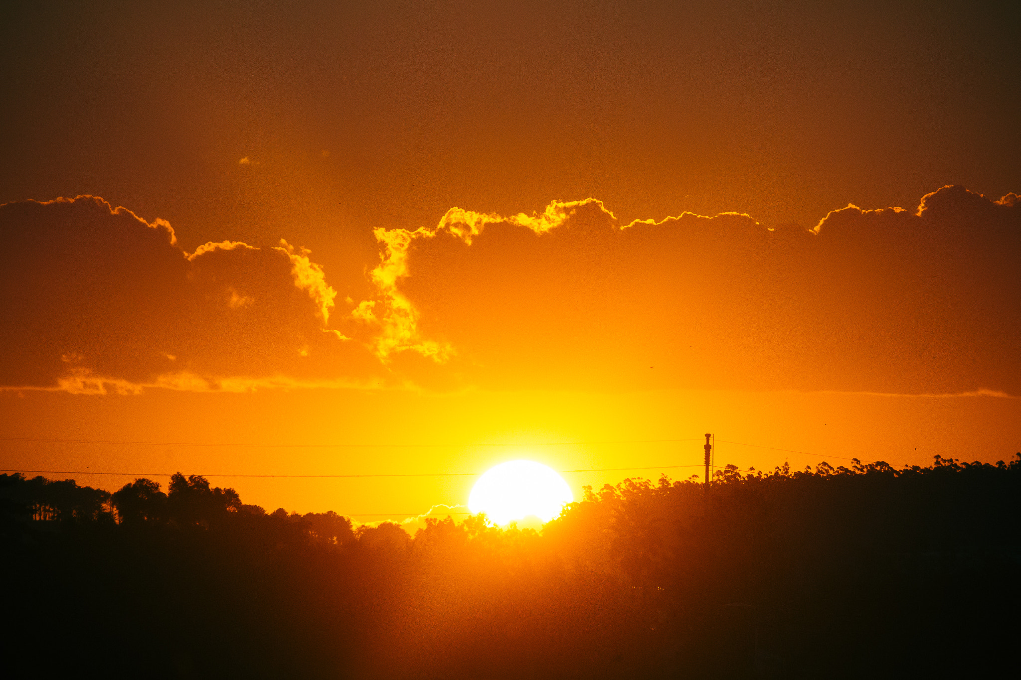 Canon EF-S 55-250mm F4-5.6 IS II sample photo. Powerful photography