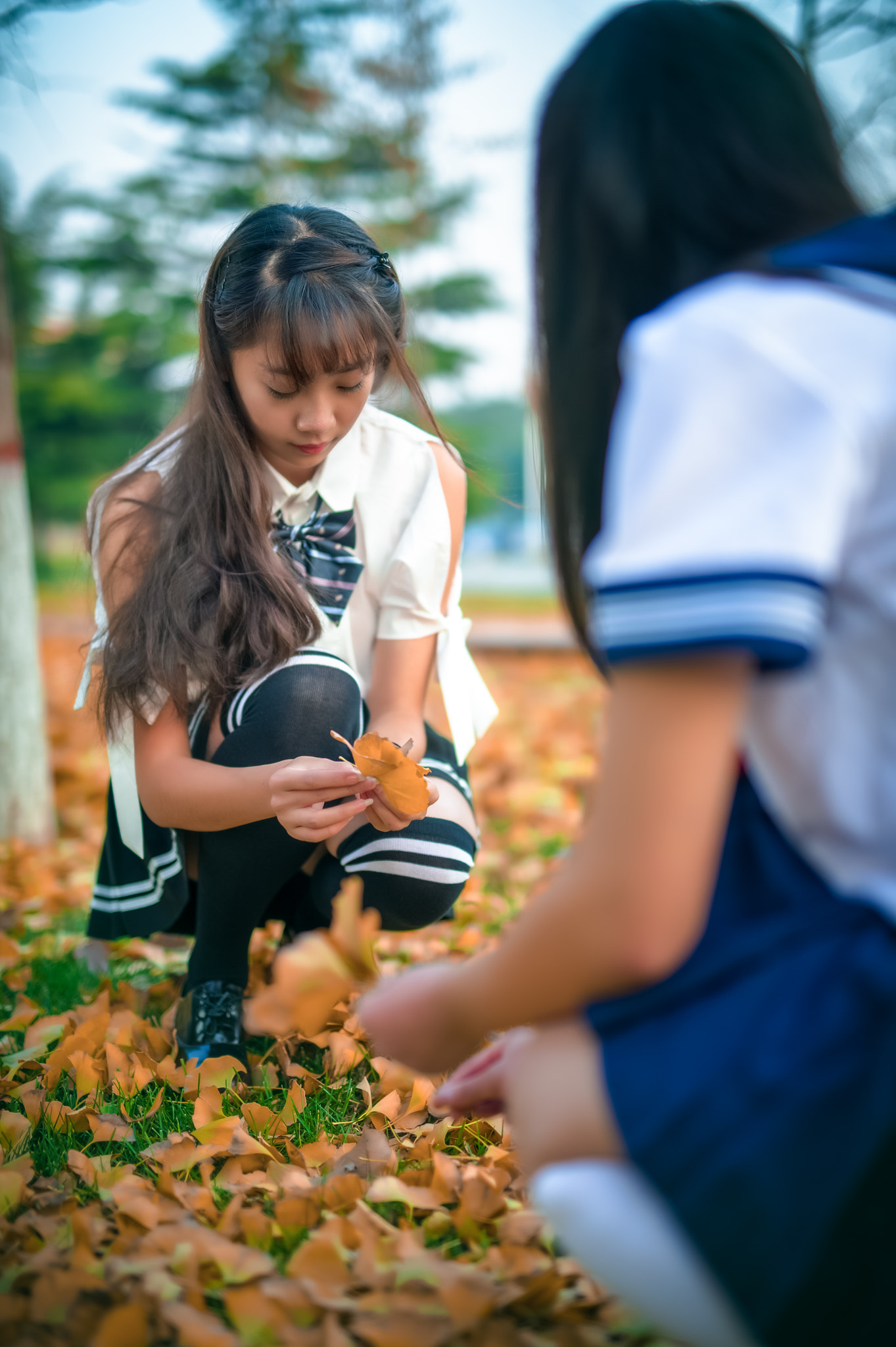 Nikon D4 + Sigma 50mm F1.4 DG HSM Art sample photo. 秋 photography