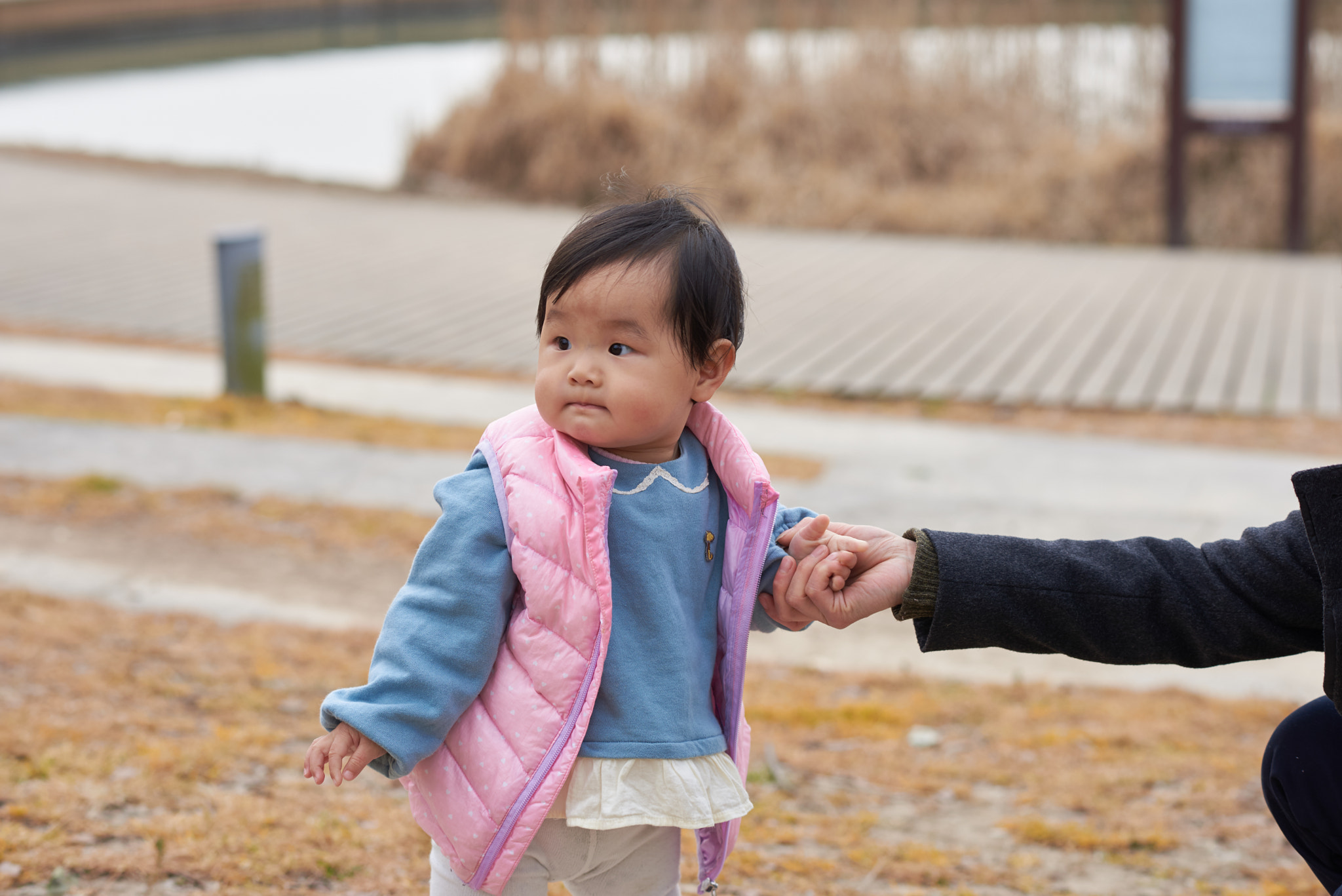 Nikon D610 + Nikon AF-S Nikkor 85mm F1.8G sample photo. 2015 photography