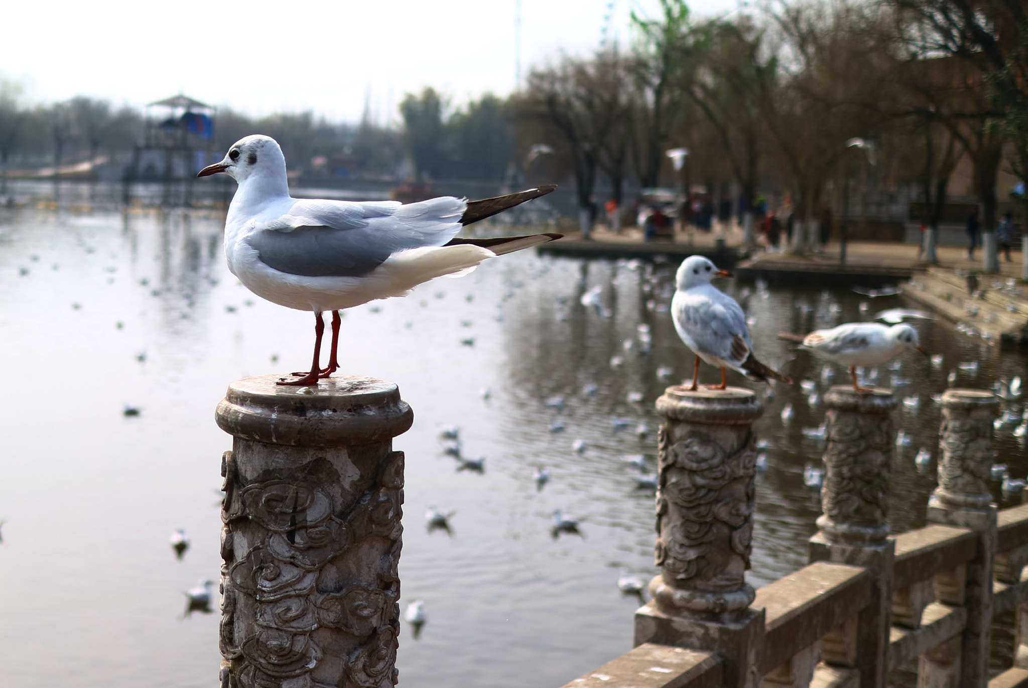 Canon EOS M3 + Canon EF-M 22mm F2 STM sample photo