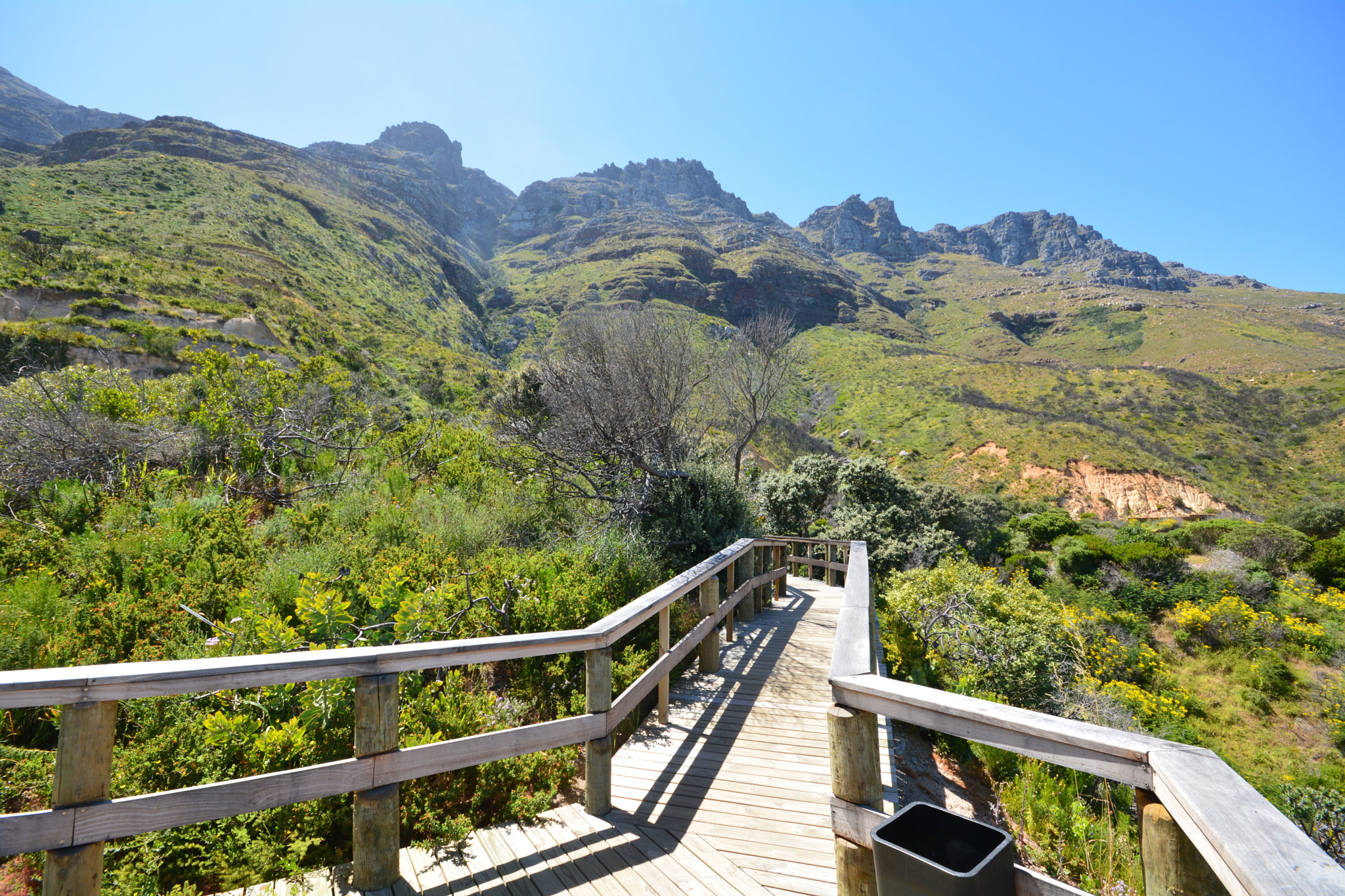 Sigma 10-20mm F4-5.6 EX DC HSM sample photo. Near capetown photography