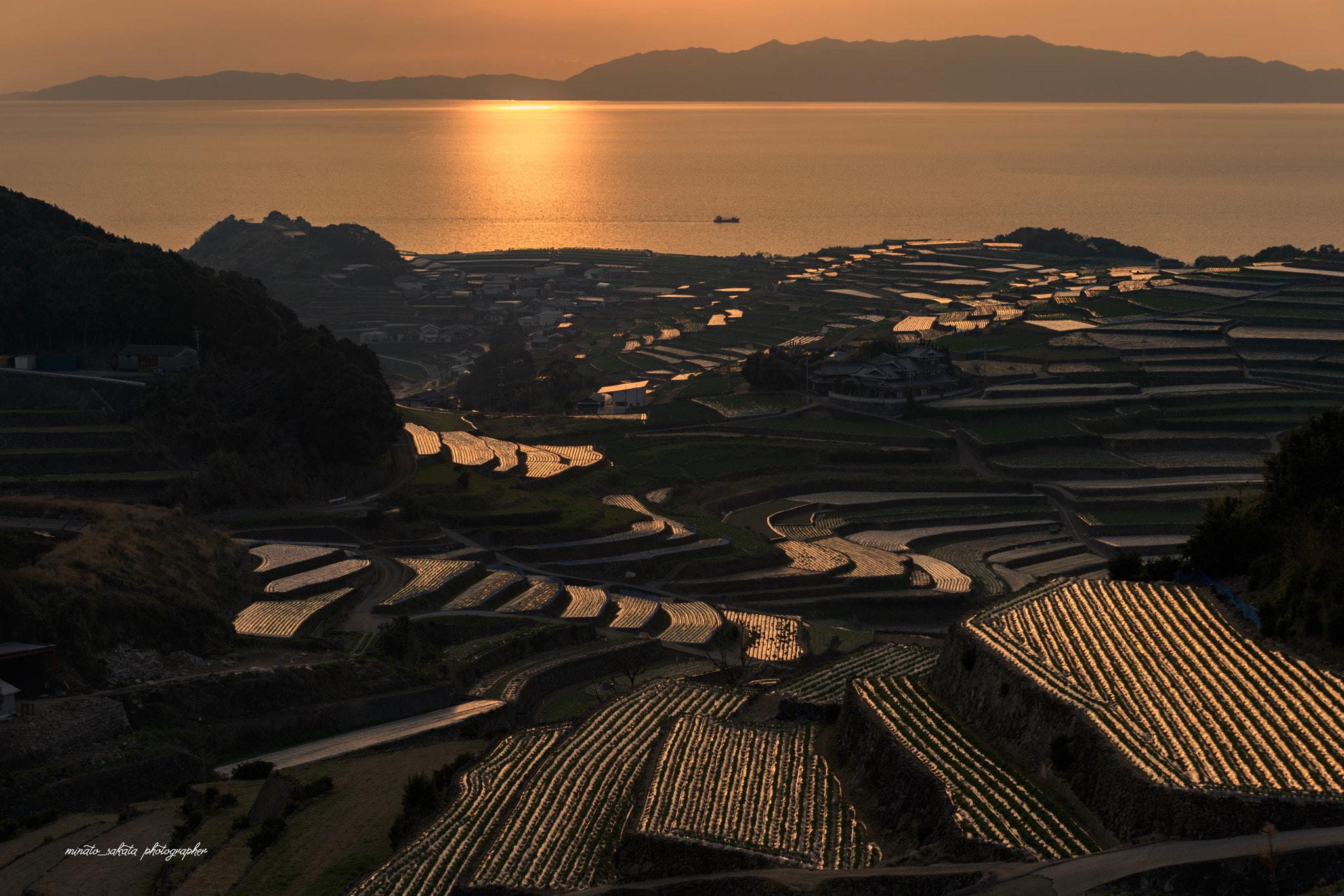 Nikon D810 sample photo. Potato fieid photography