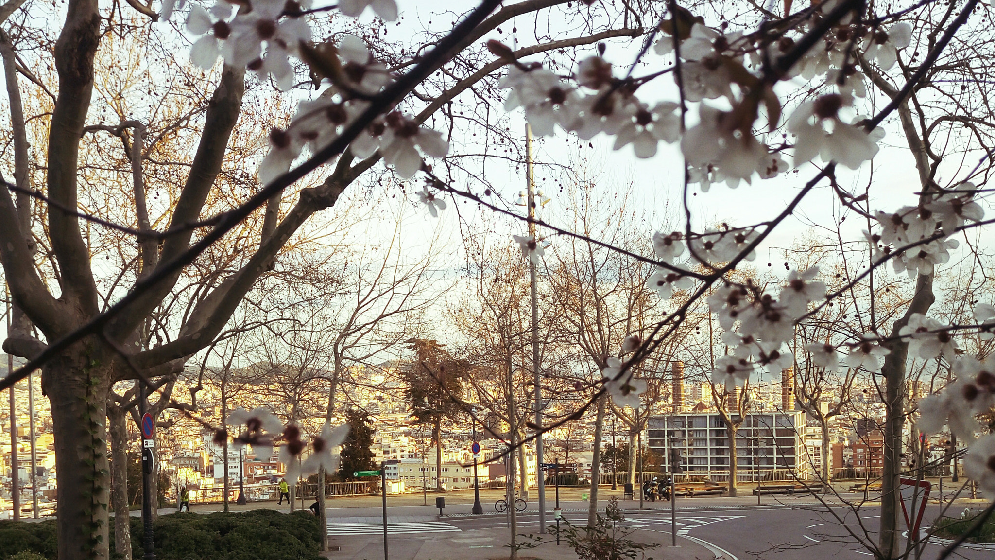 Meizu MX5 sample photo. Barcelona scenery photography