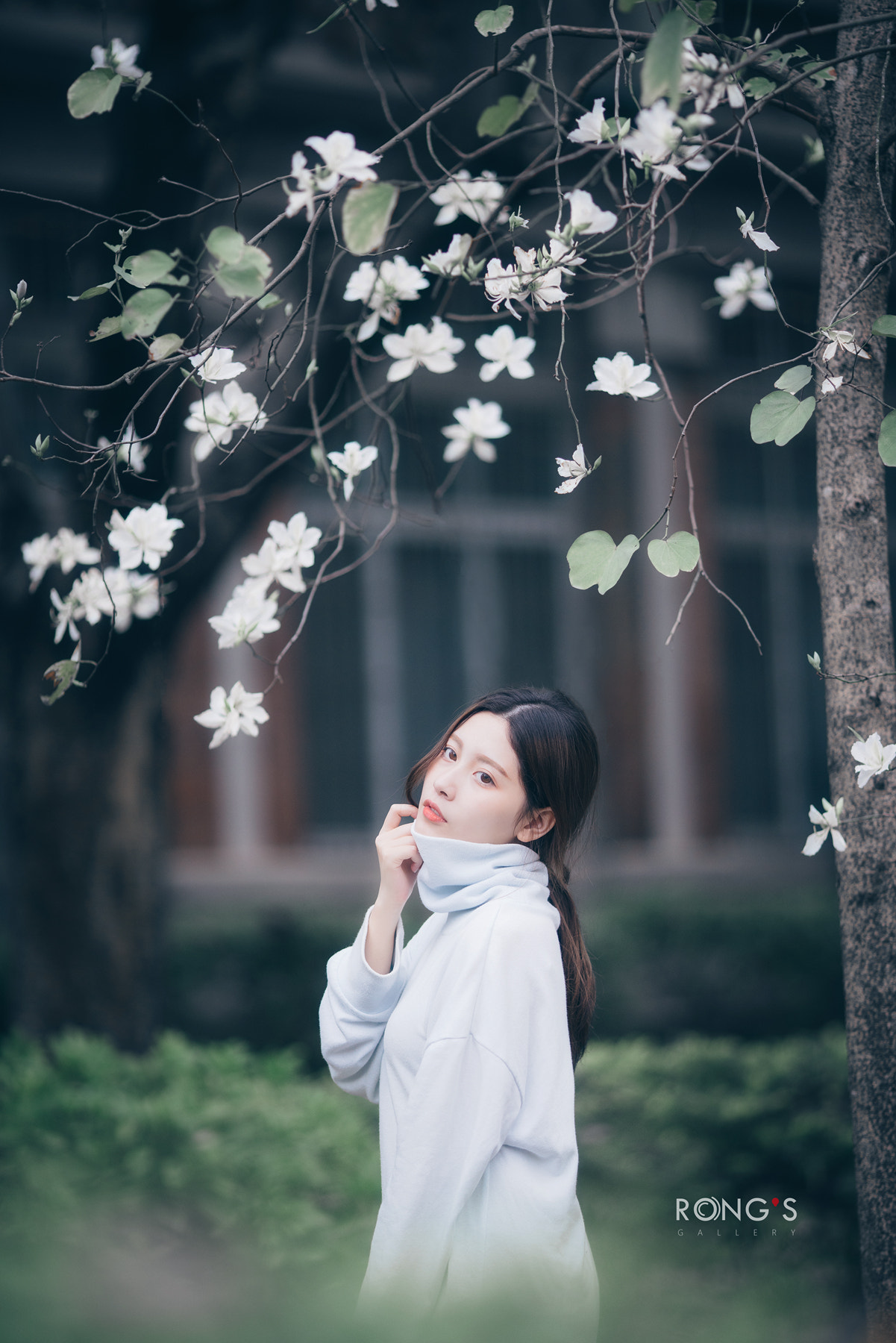 Sony a7R II + Canon EF 135mm F2L USM sample photo