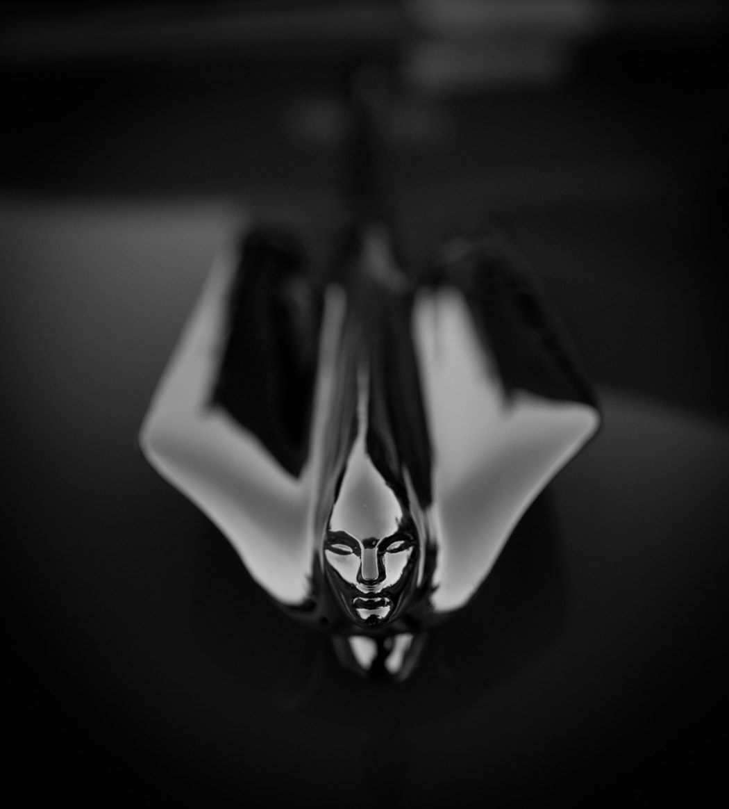 Sony Alpha DSLR-A900 sample photo. Flying lady photography