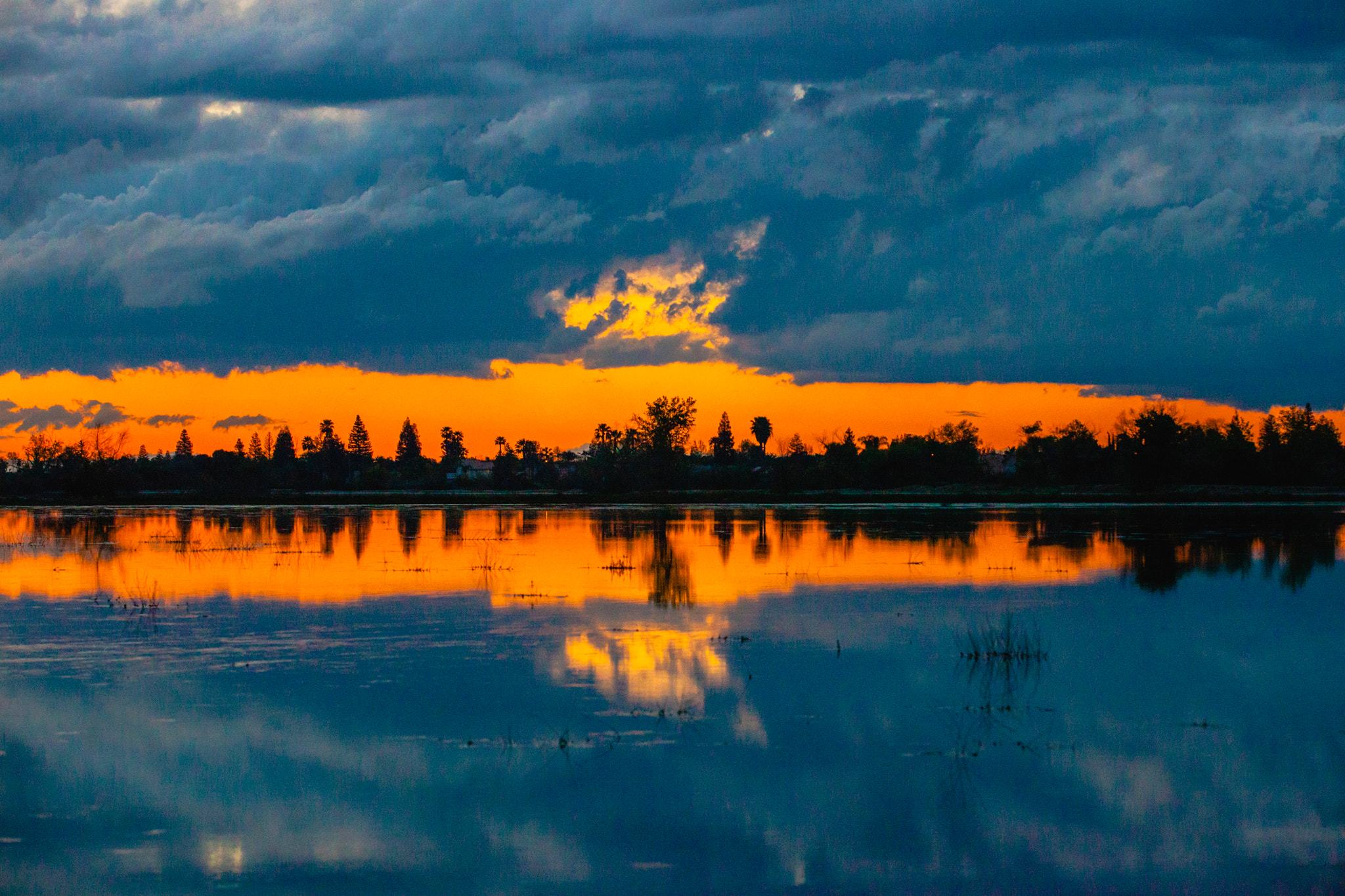 Canon EF 70-200mm F2.8L USM sample photo. Bluorange photography