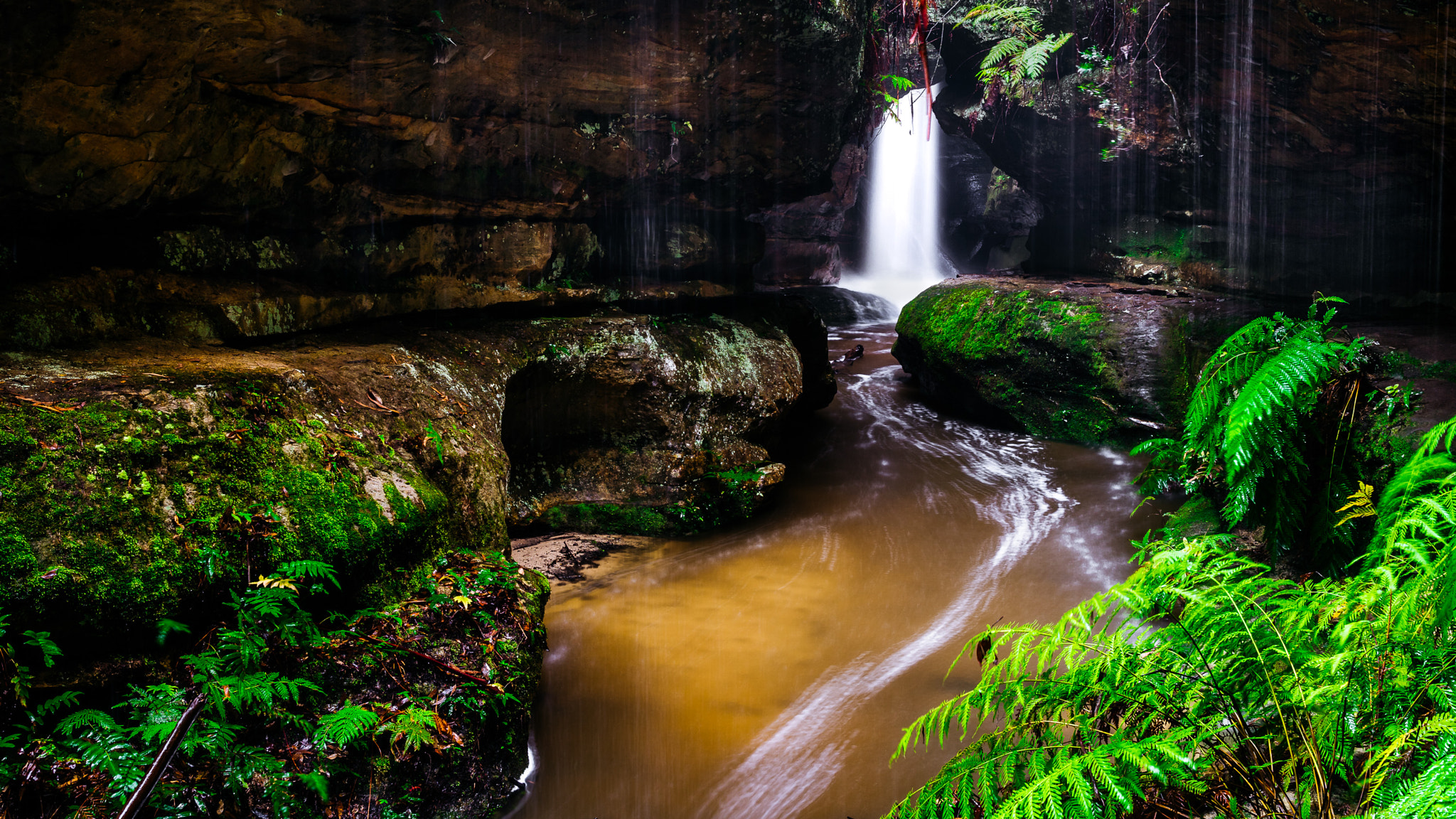 Sony a7 sample photo. In the glen photography