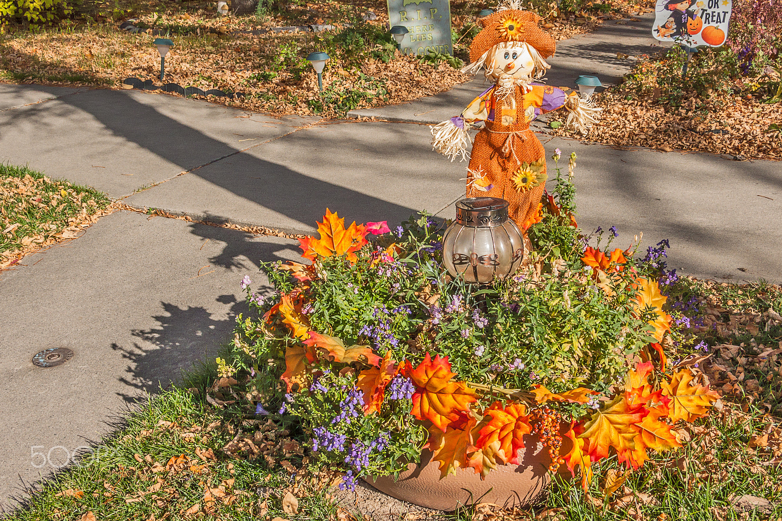 Panasonic DMC-LX2 sample photo. Scarecrow in orange photography