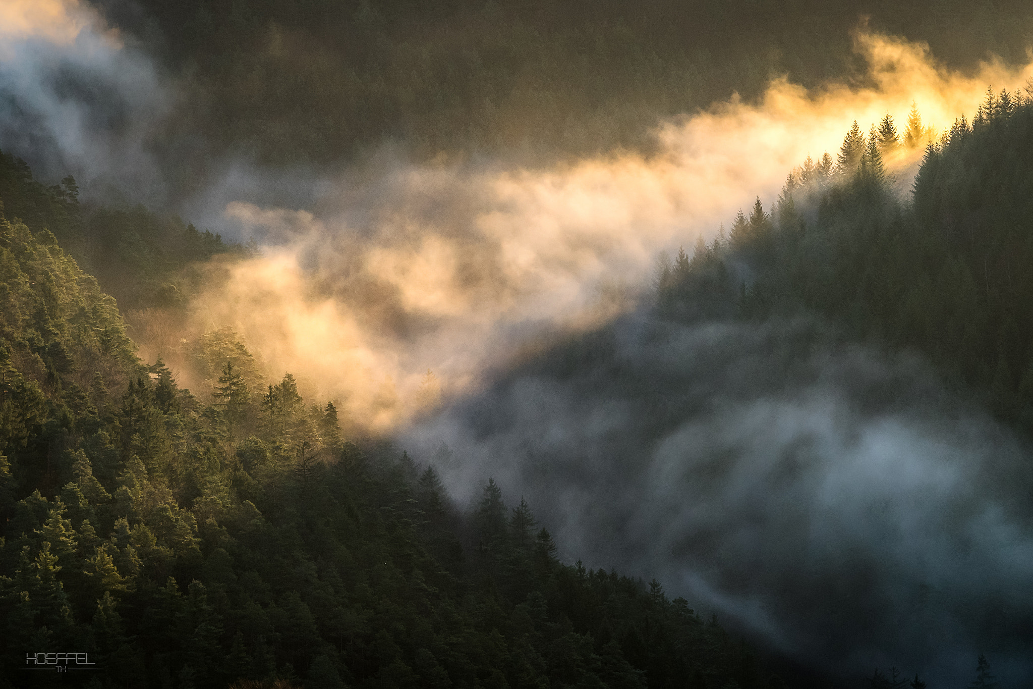 Tamron 18-270mm F3.5-6.3 Di II PZD sample photo. Nebel im wald photography