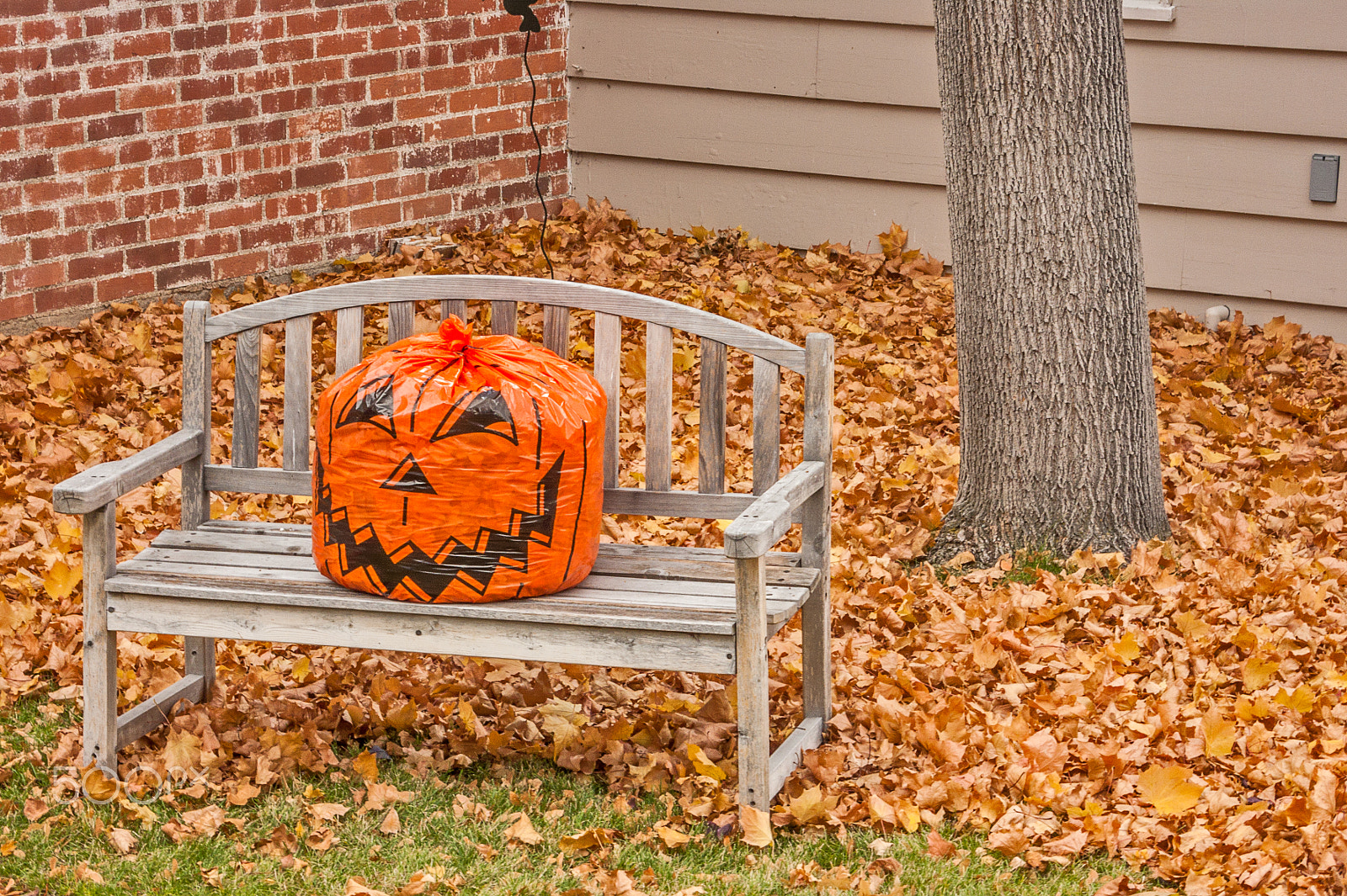 Panasonic DMC-LX2 sample photo. Jack o lantern on a wood bench photography