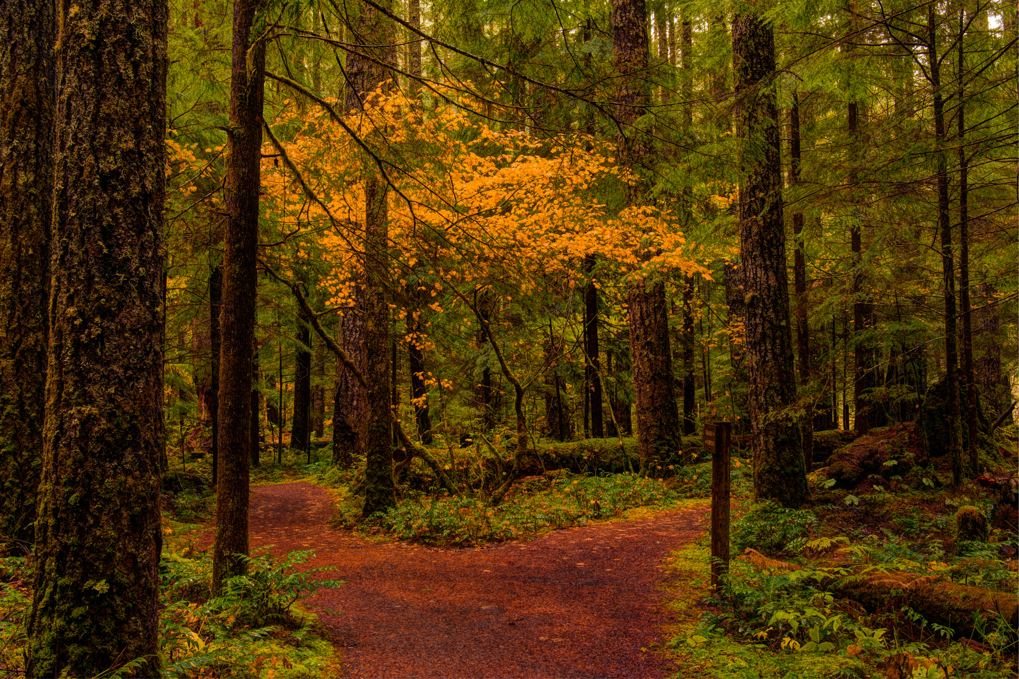 Nikon D7100 + Sigma 18-35mm F1.8 DC HSM Art sample photo. Follow along photography
