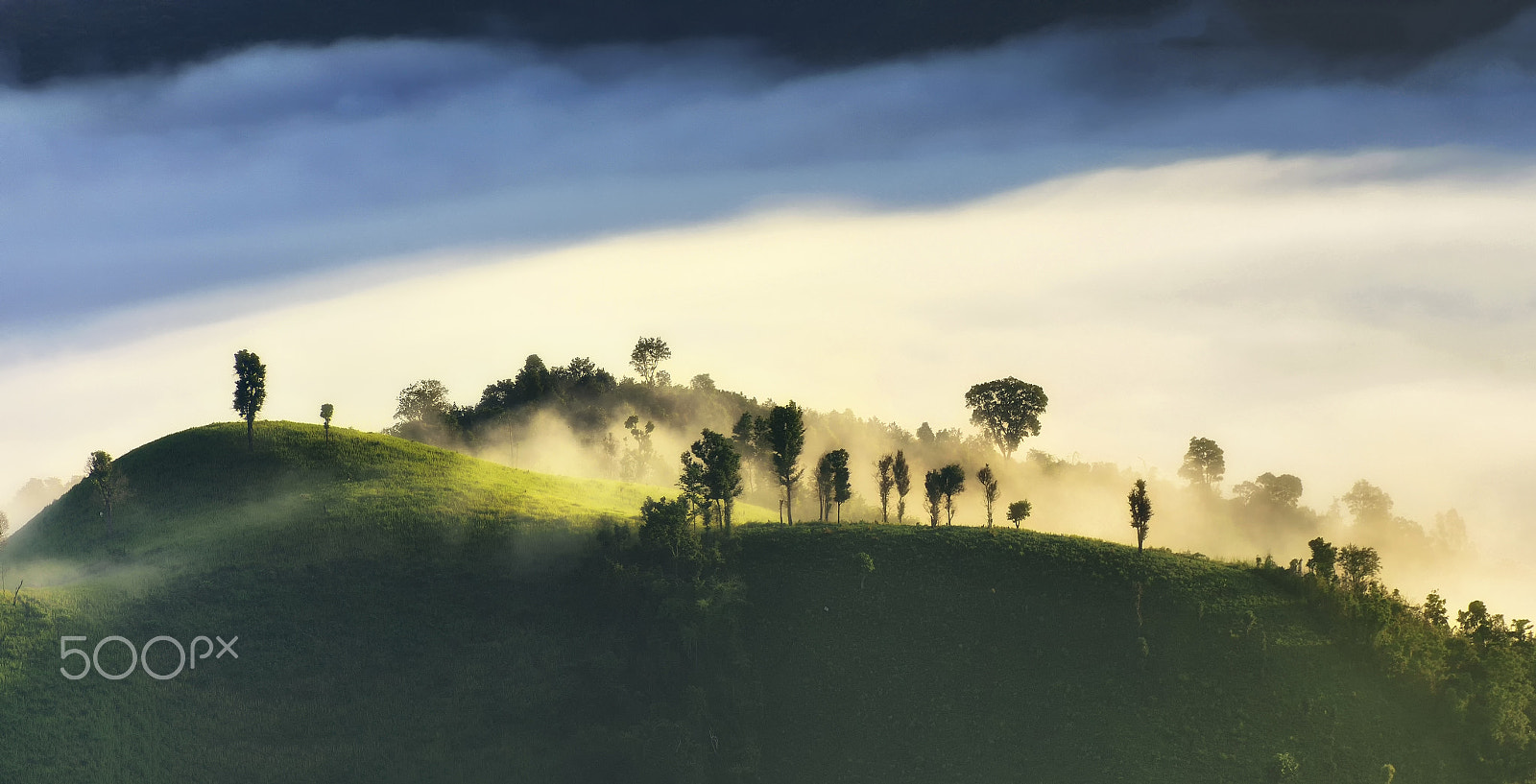Nikon D600 sample photo. Love nature photography