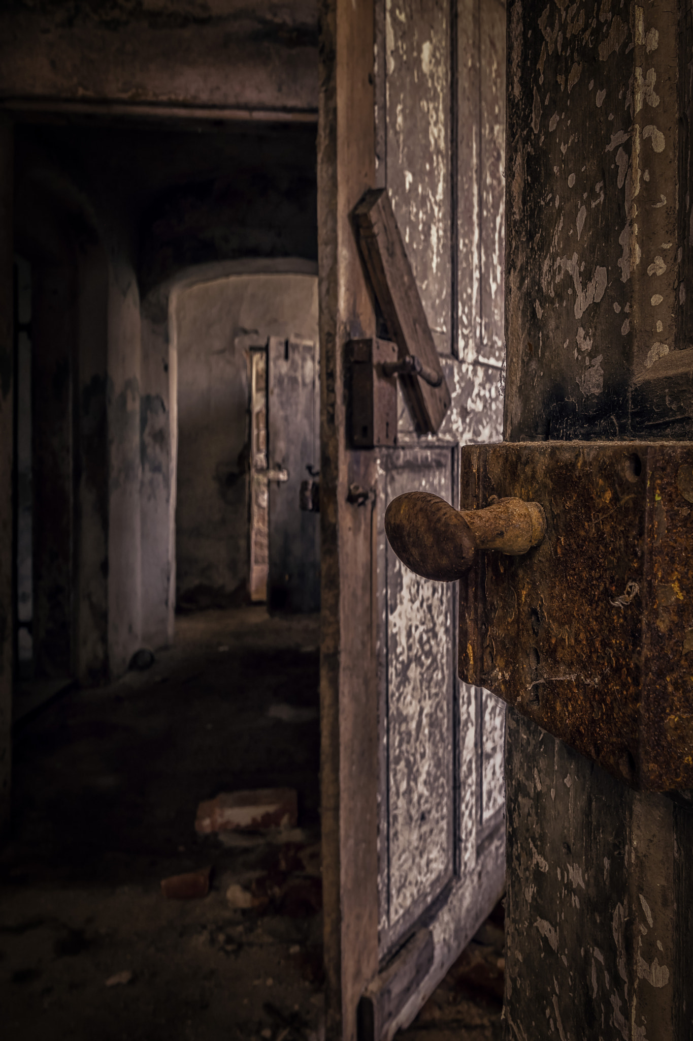 Sony a6000 + Sigma 19mm F2.8 EX DN sample photo. Griff photography