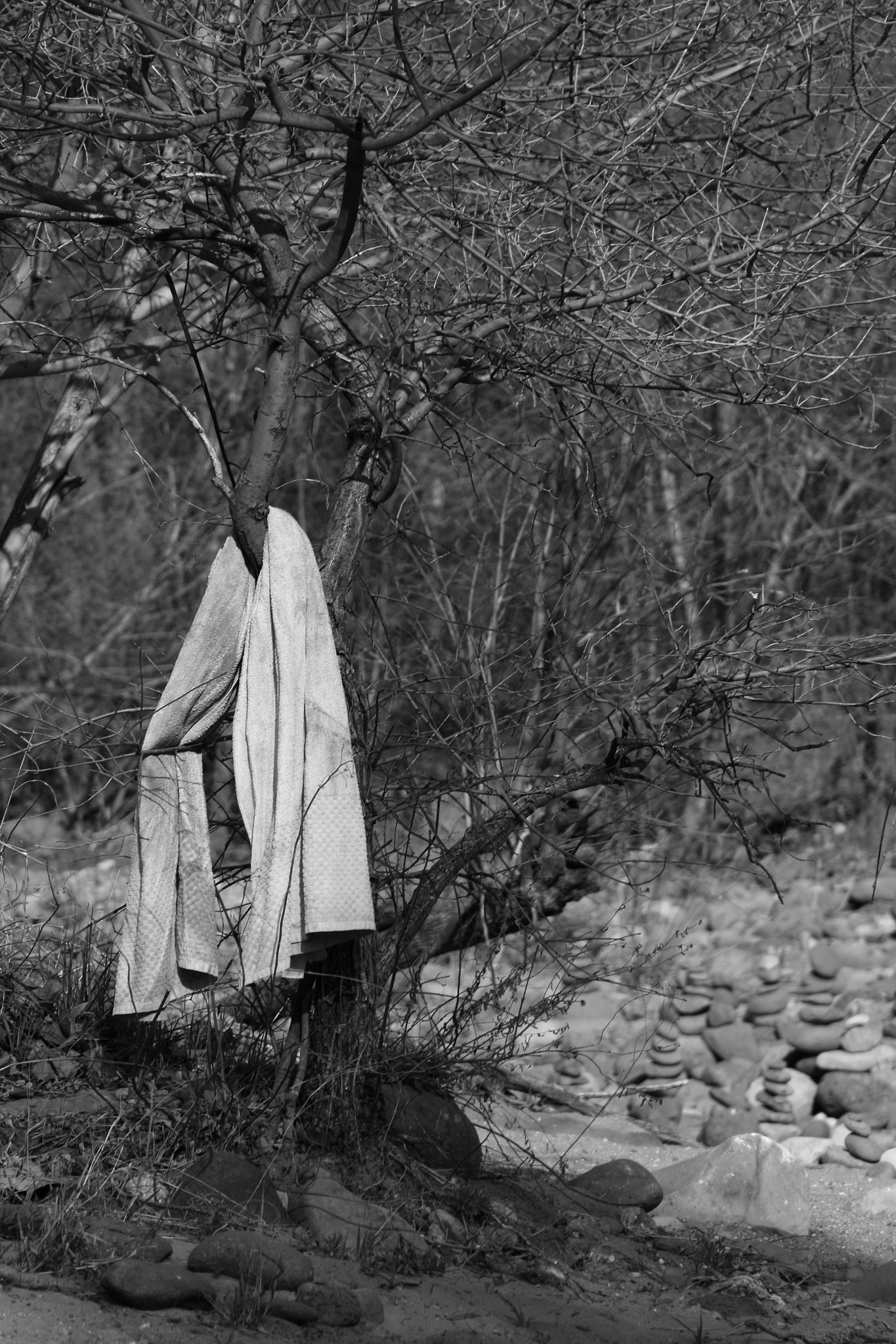 Canon EF 28-135mm F3.5-5.6 IS USM sample photo. Clothed photography
