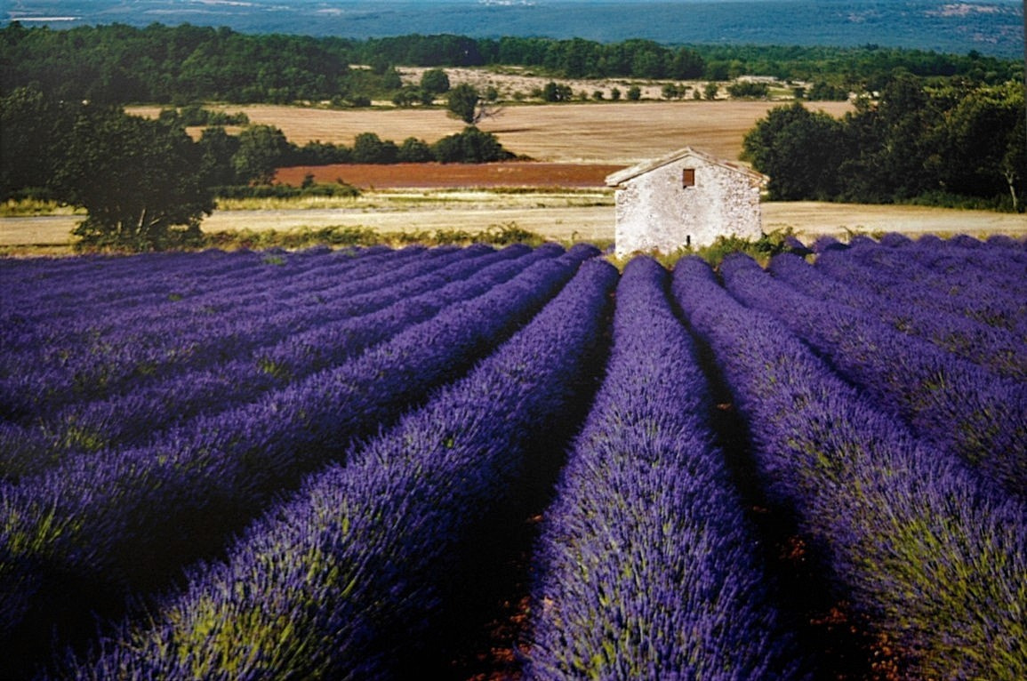 AF Zoom-Nikkor 35-70mm f/3.3-4.5 N sample photo. Landscape in europe. photography