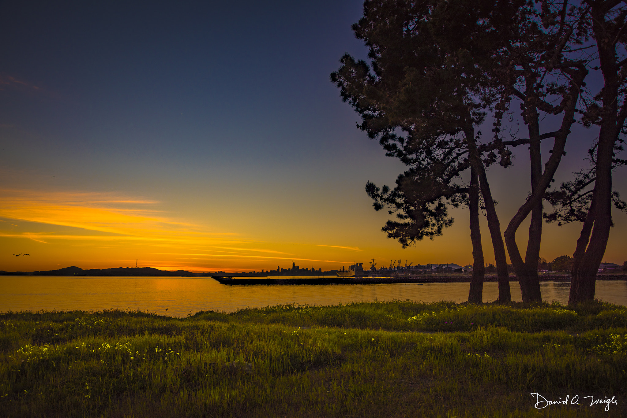 Nikon D810 sample photo. Alameda view photography