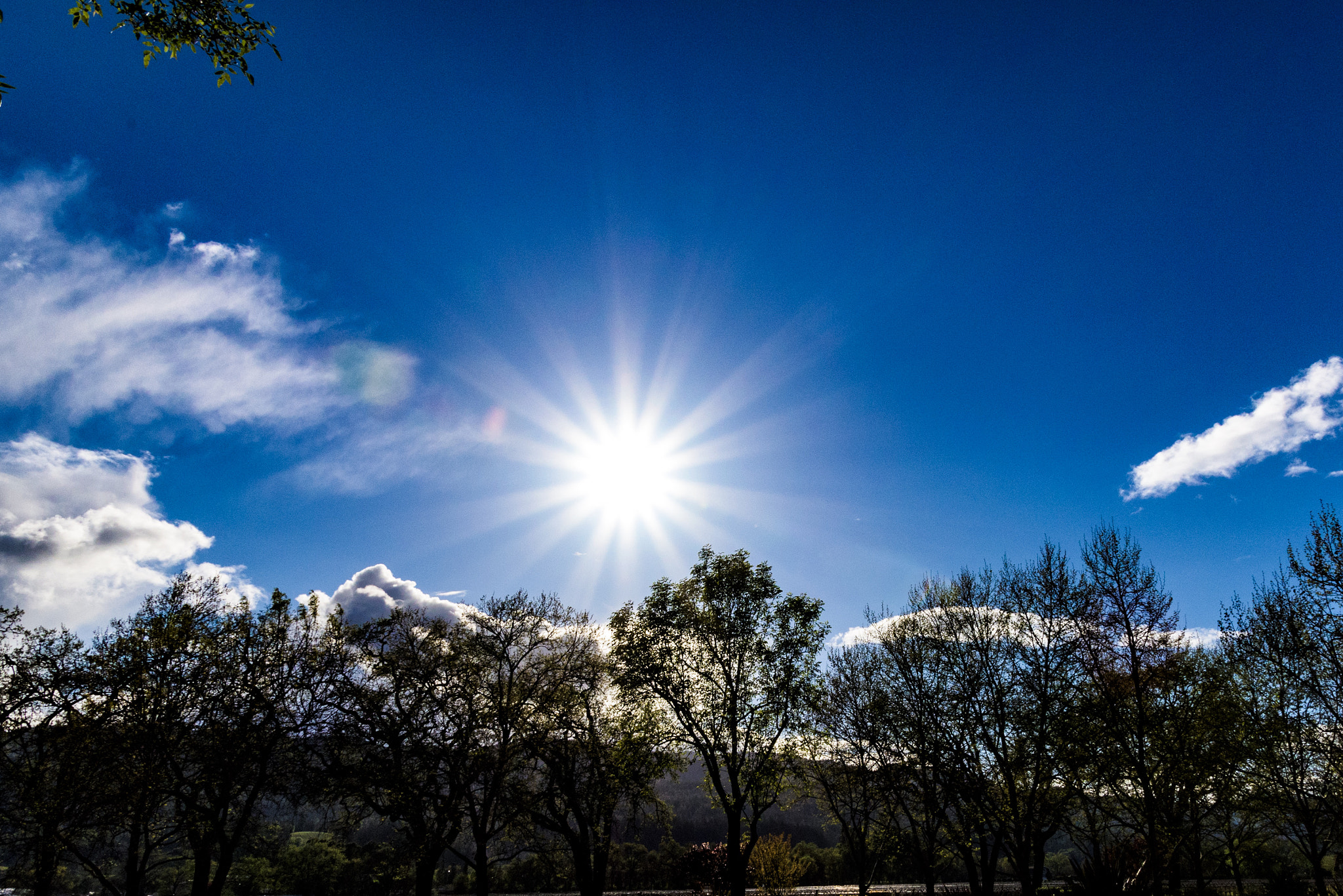 Nikon D810 sample photo. Rutherford hills.... photography