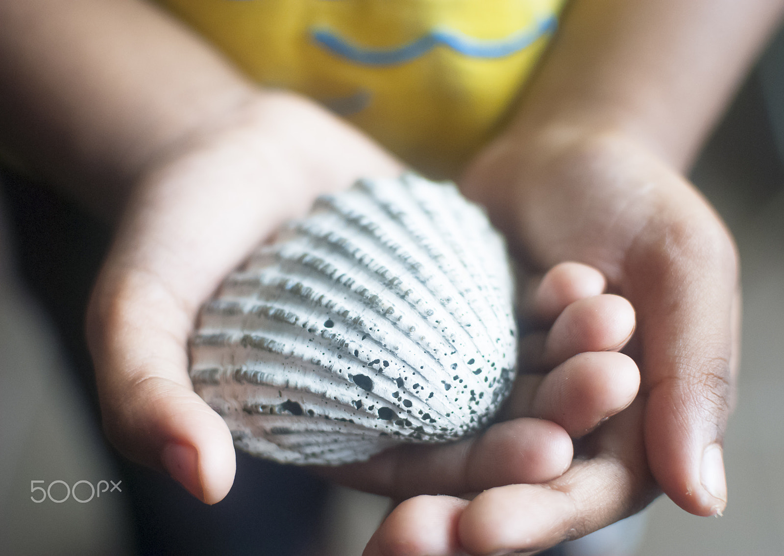 Nikon D3000 + Nikon AF-S DX Nikkor 35mm F1.8G sample photo. A child's hand holding a large sea shell photography