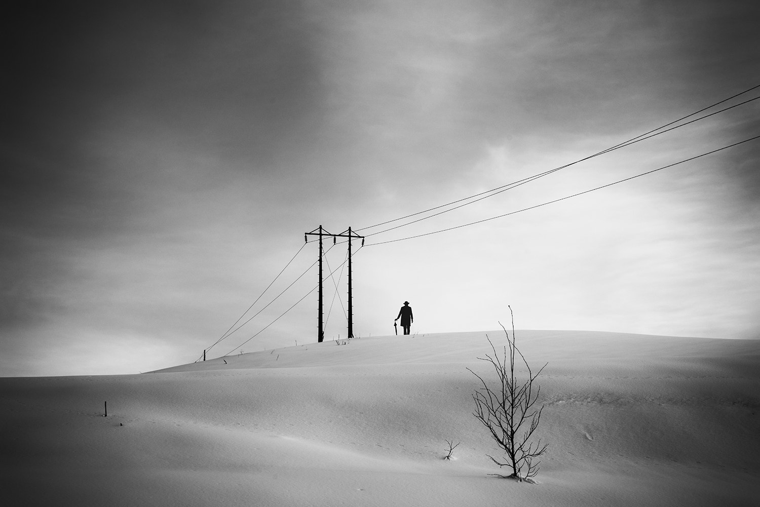 Sony a7R sample photo