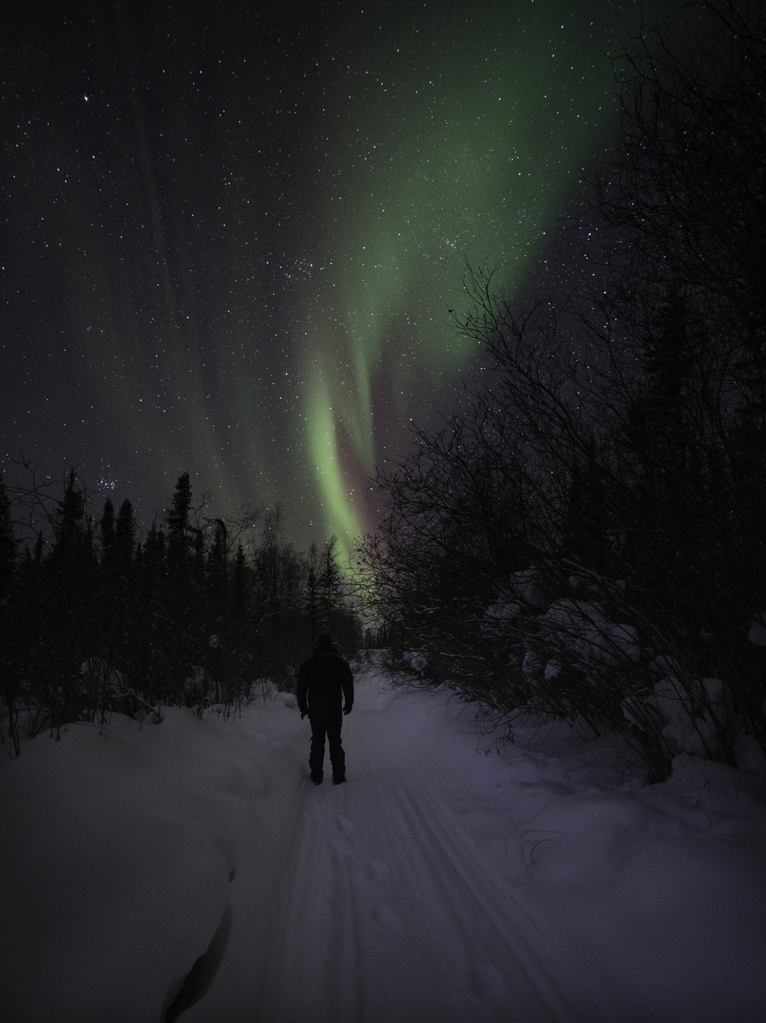 ZEISS Batis 18mm F2.8 sample photo. Aurora photography