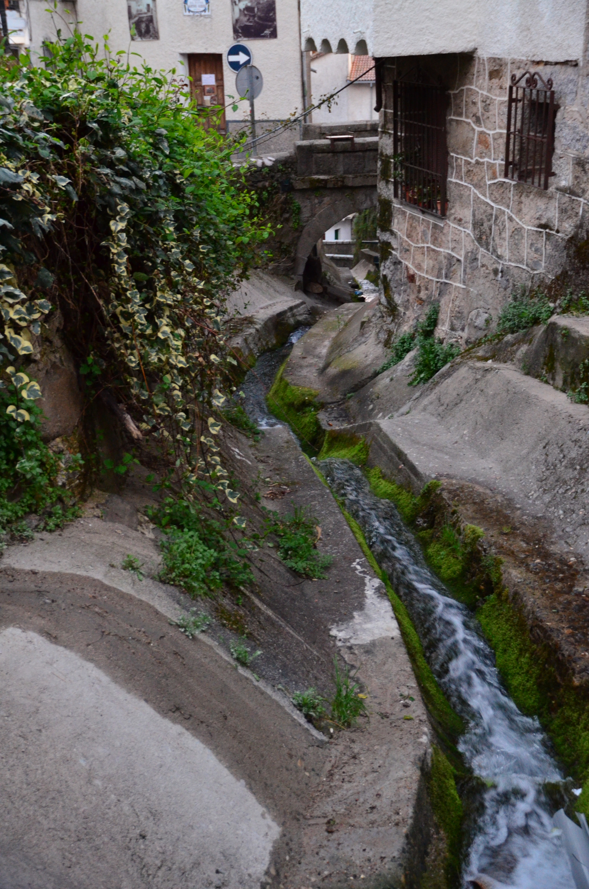Sigma 18-200mm F3.5-6.3 II DC OS HSM sample photo. Canales photography