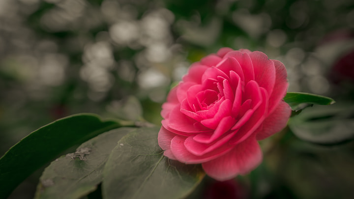 Nikon D750 + Nikon AF-S Nikkor 20mm F1.8G ED sample photo