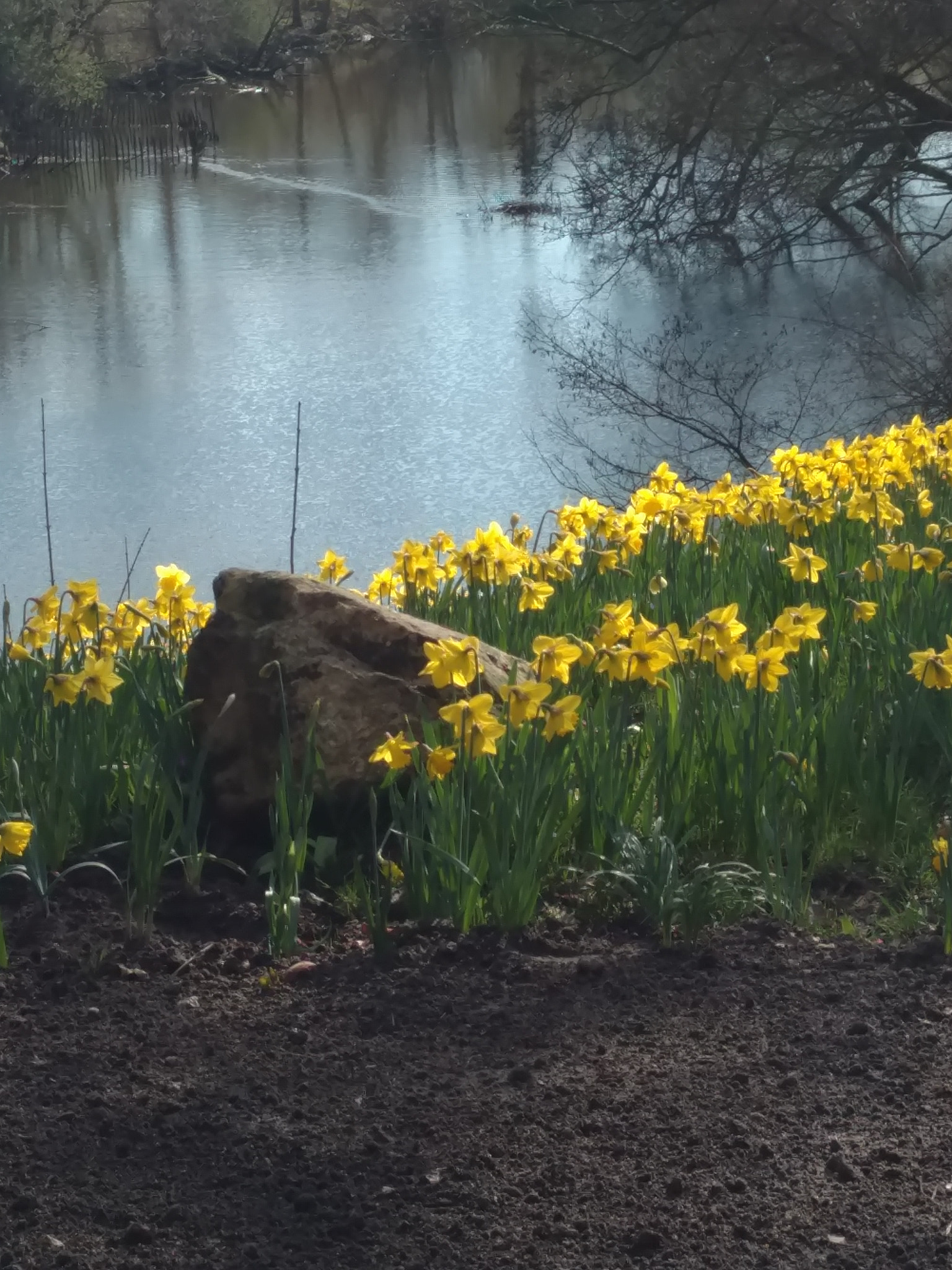 Motorola Moto X Style sample photo. March 23 photography