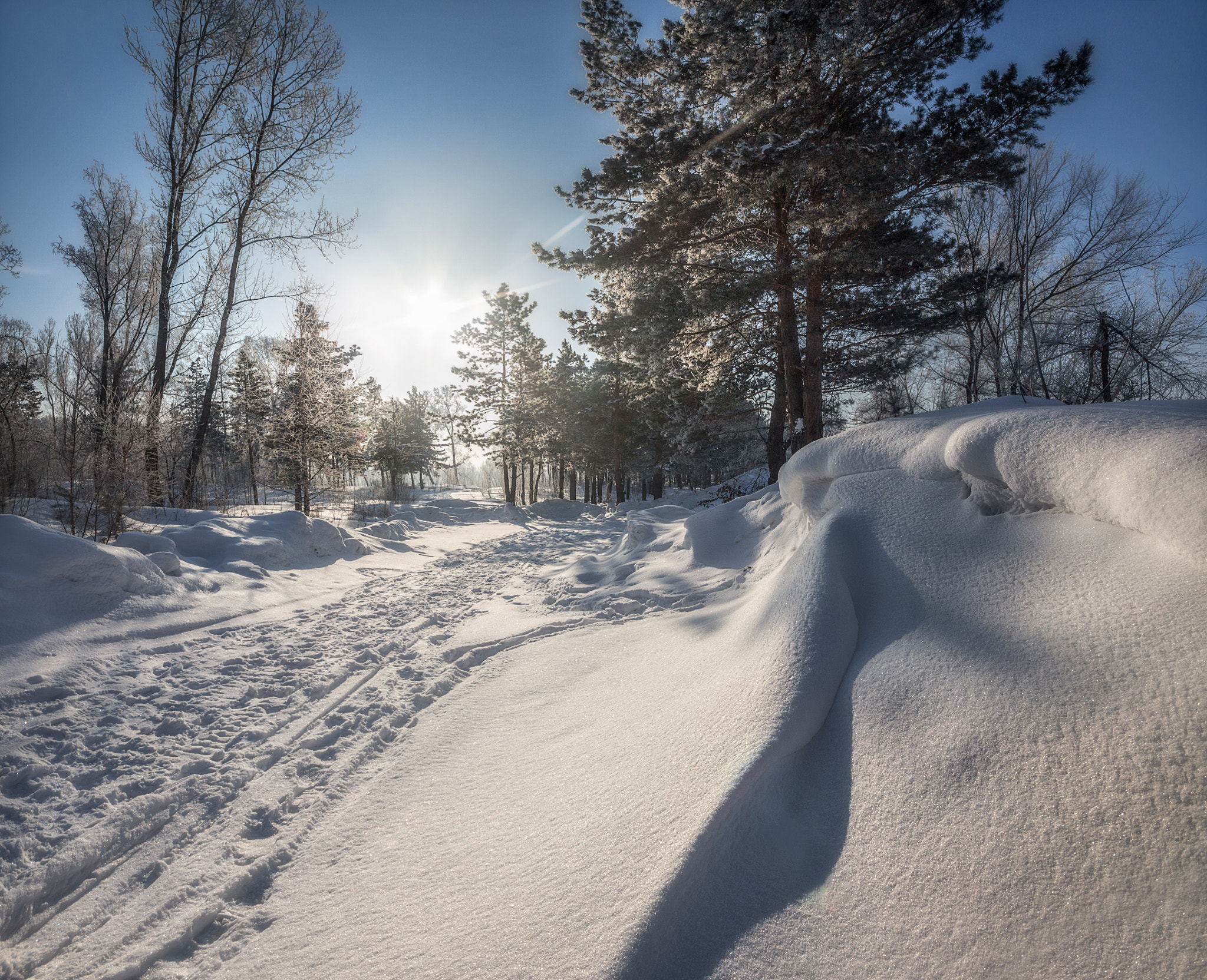 Canon EOS 650D (EOS Rebel T4i / EOS Kiss X6i) + Sigma 10-20mm F4-5.6 EX DC HSM sample photo. Sunny winter day photography