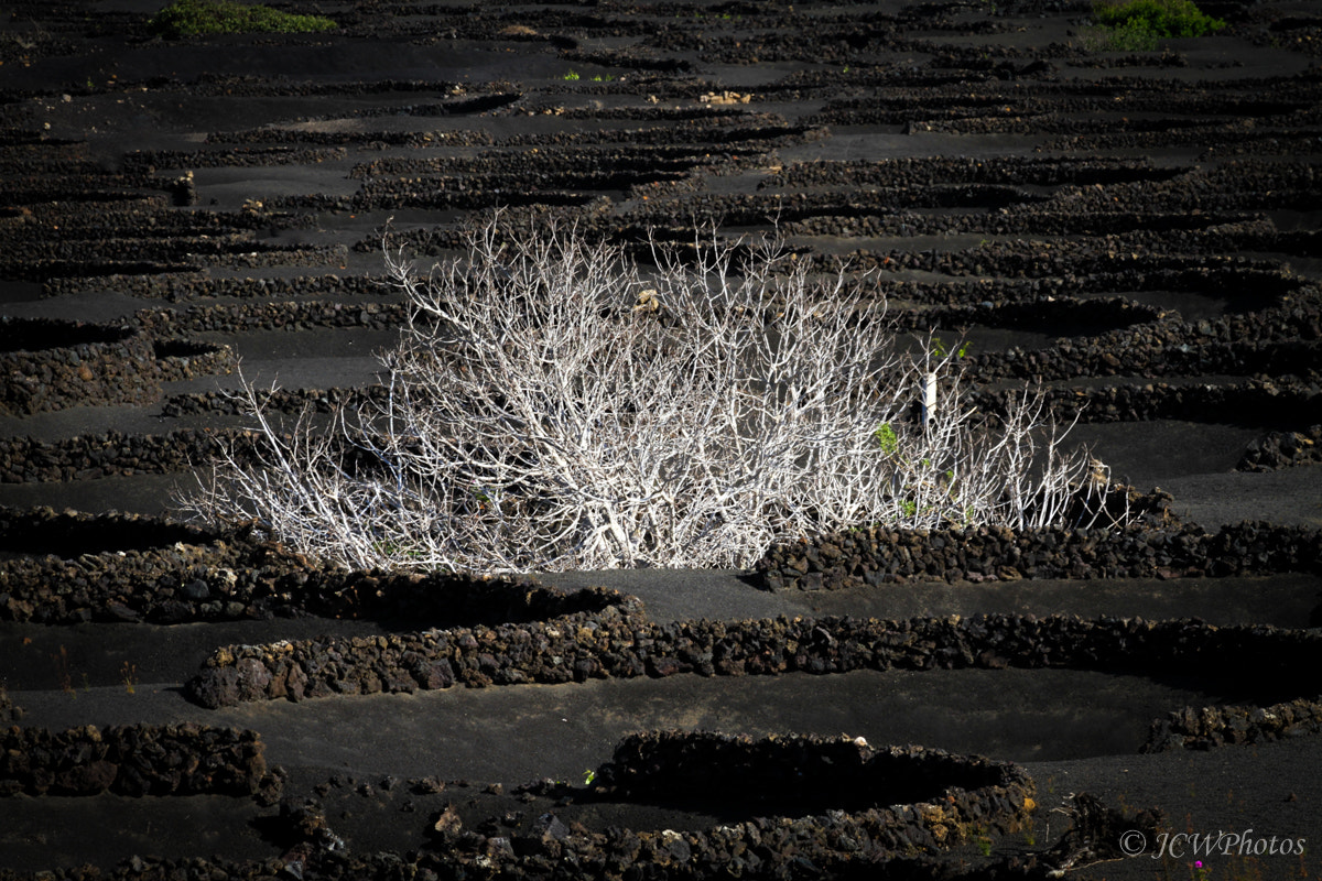 Canon EF 70-300mm F4-5.6 IS USM sample photo. Géria landscape photography