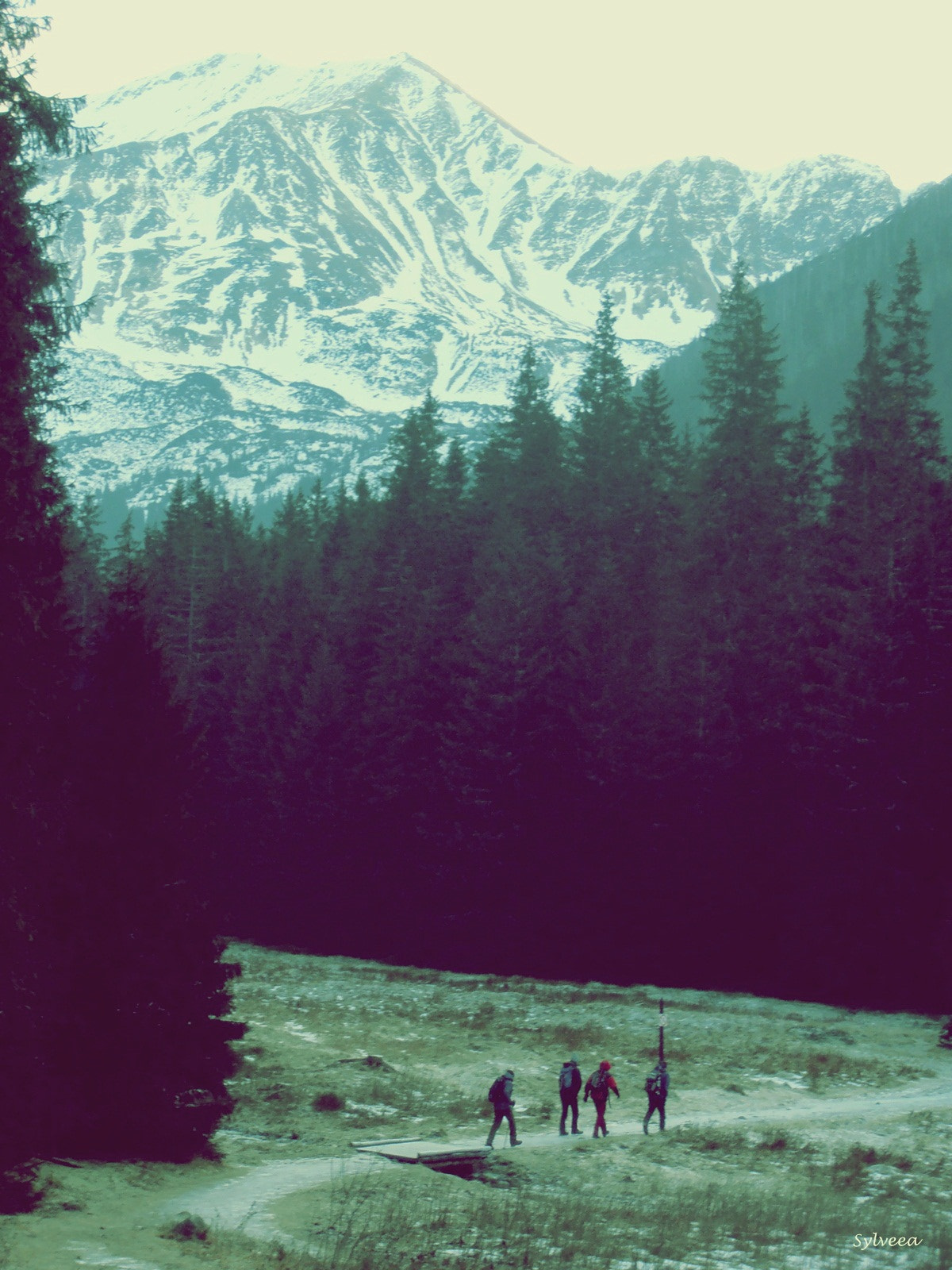 Olympus VR310,D720 sample photo. Tatra mountains photography