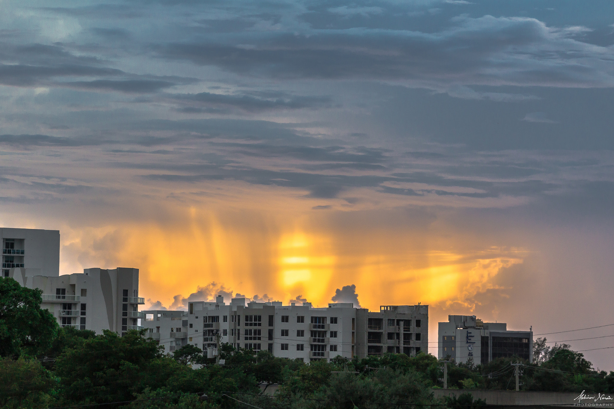 Sigma 18-250mm F3.5-6.3 DC OS HSM sample photo. When you're the only one having a bad day.. photography