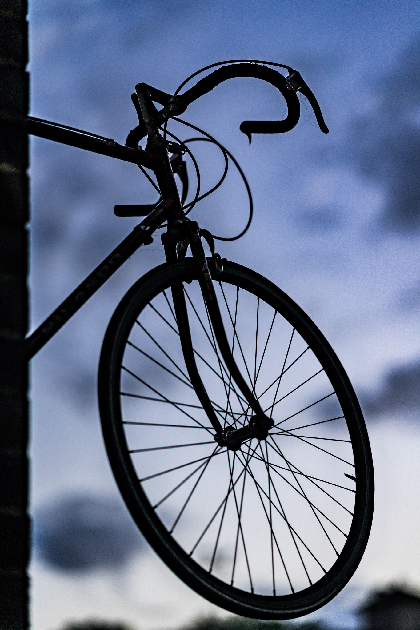 Sony FE 85mm F1.4 GM sample photo