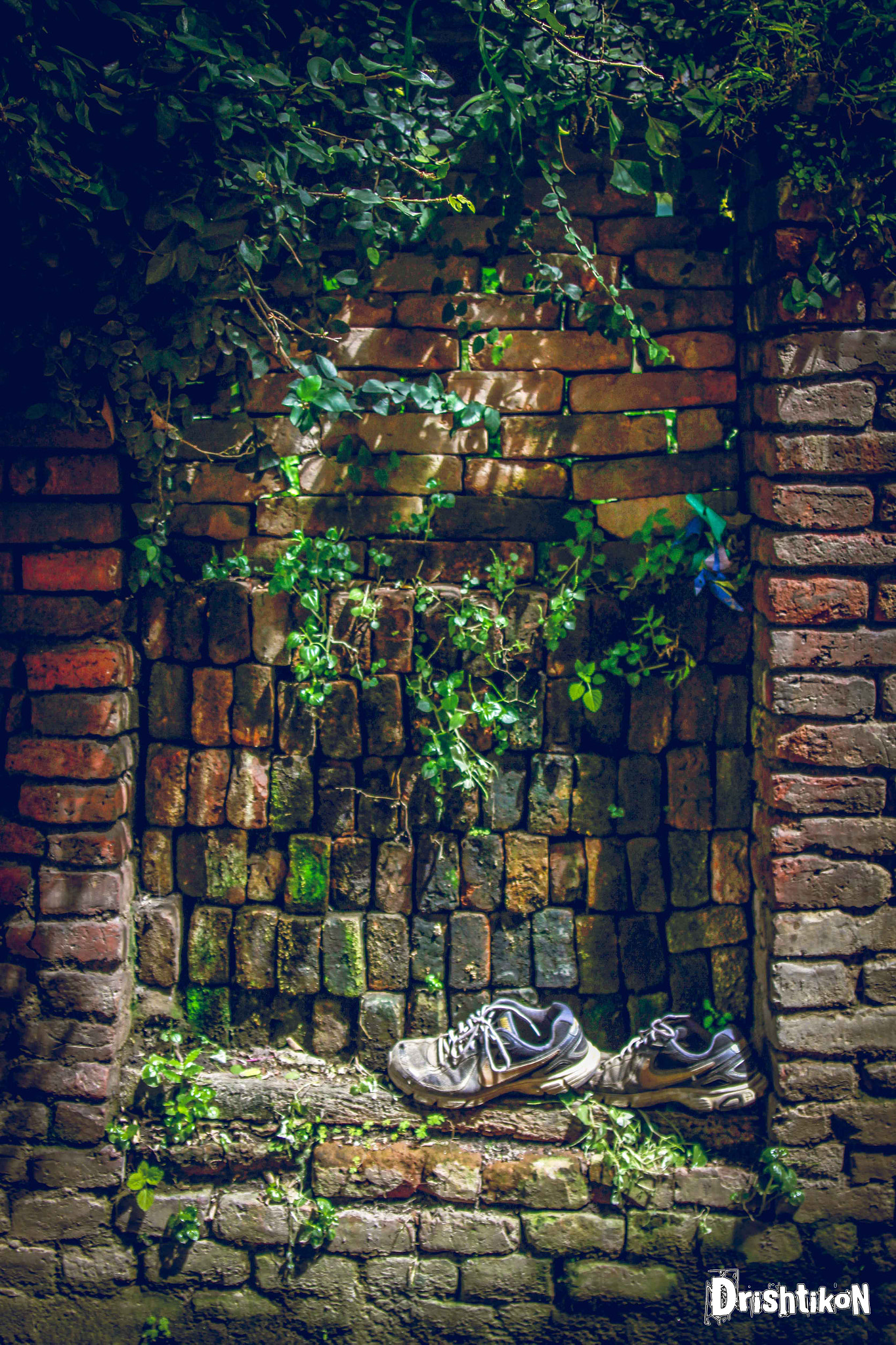Canon EF 28-105mm f/3.5-4.5 USM sample photo. Old shoe poster photography