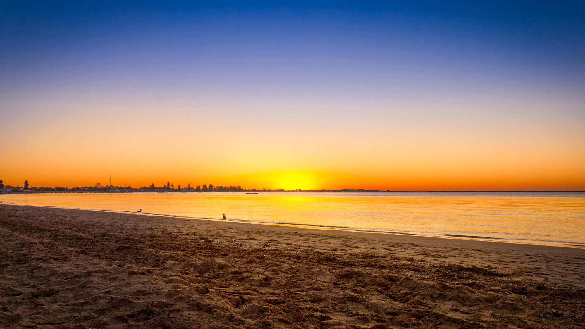 Nikon D60 sample photo. Sand and sun photography
