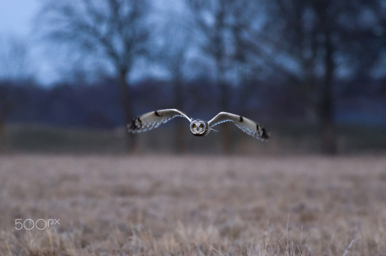 Pentax K-3 sample photo. After sunset photography