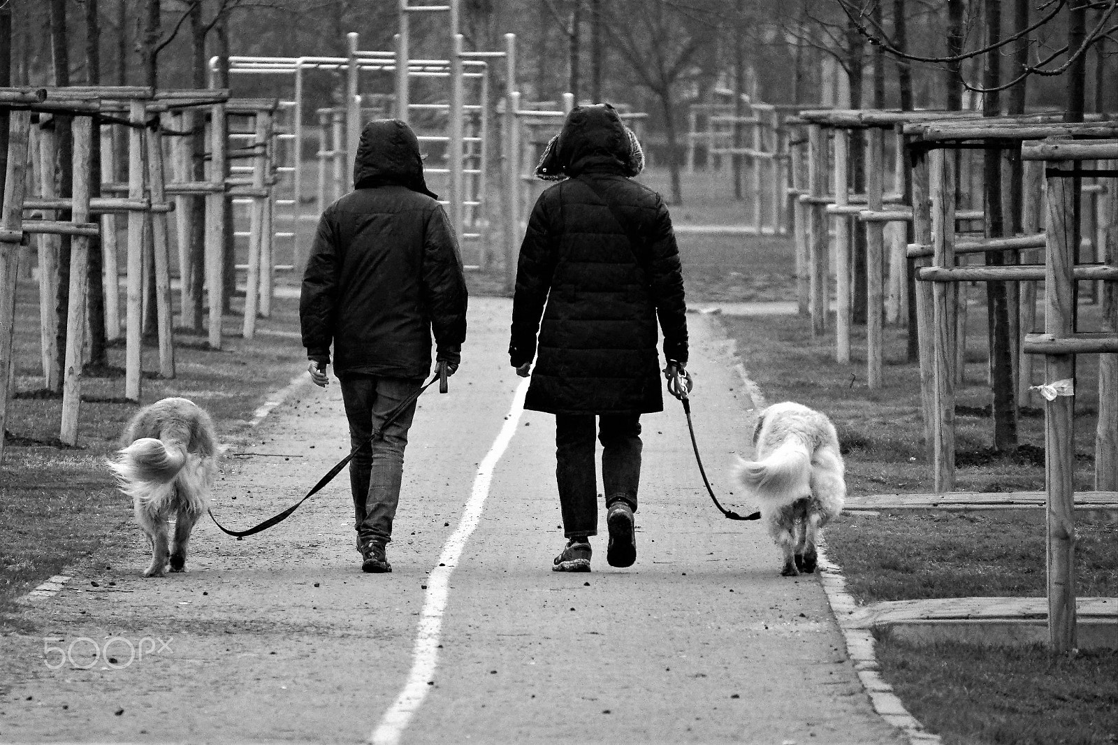 Sony E 55-210mm F4.5-6.3 OSS sample photo. Two men two dogs photography