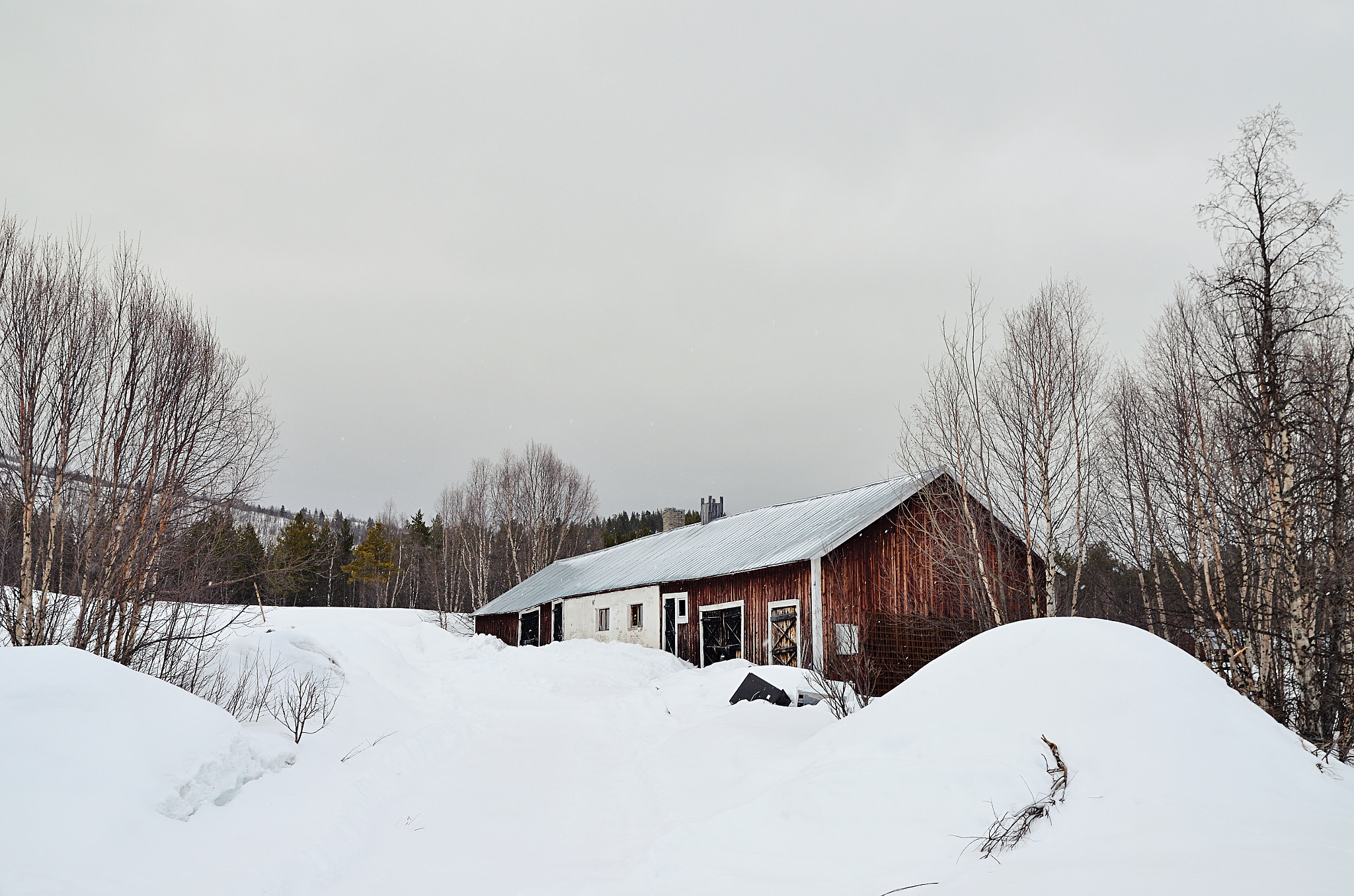 Nikon D5100 + Tamron SP AF 17-50mm F2.8 XR Di II LD Aspherical (IF) sample photo. Lapland noir photography